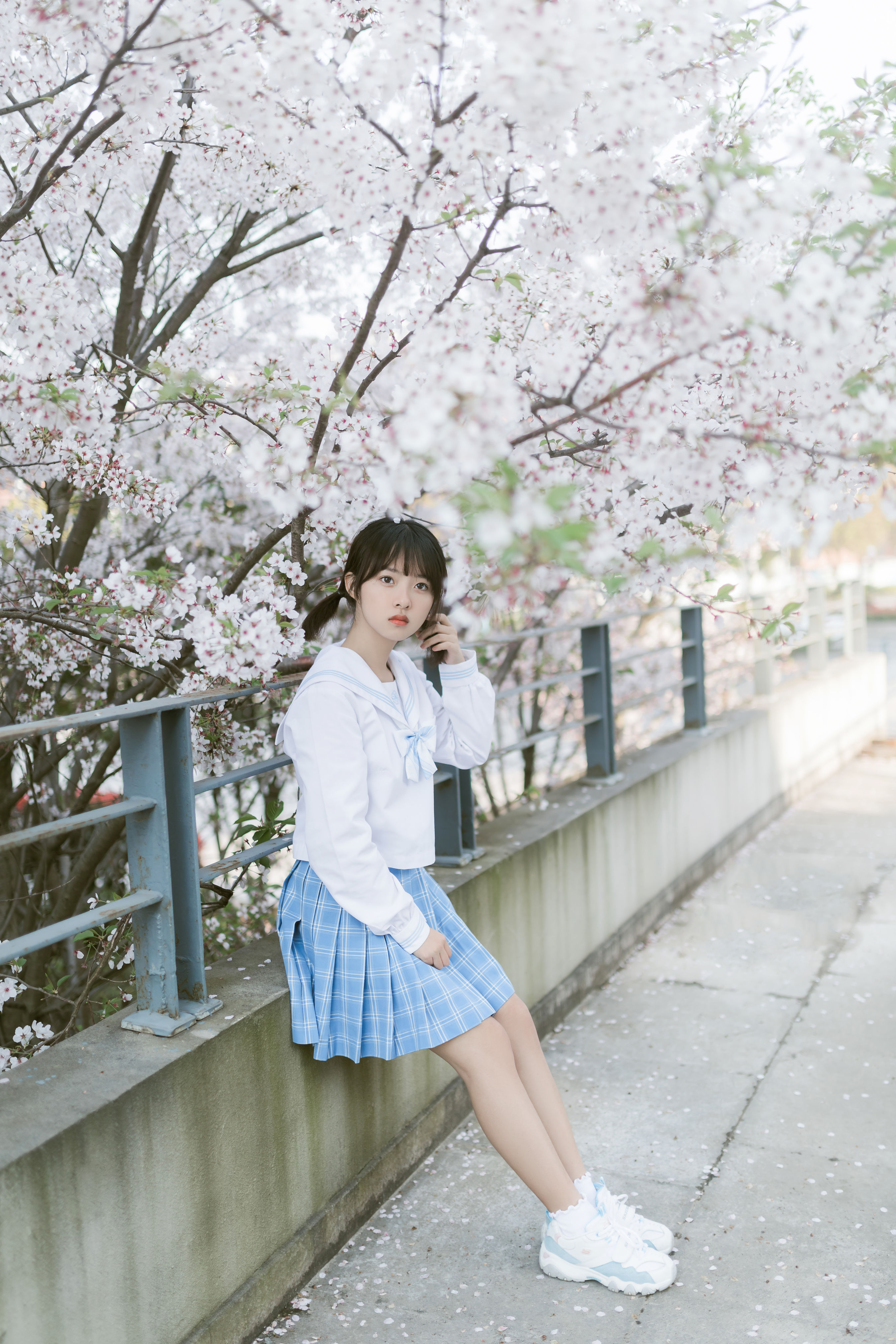 樱の雪 樱花 女生 花 情绪