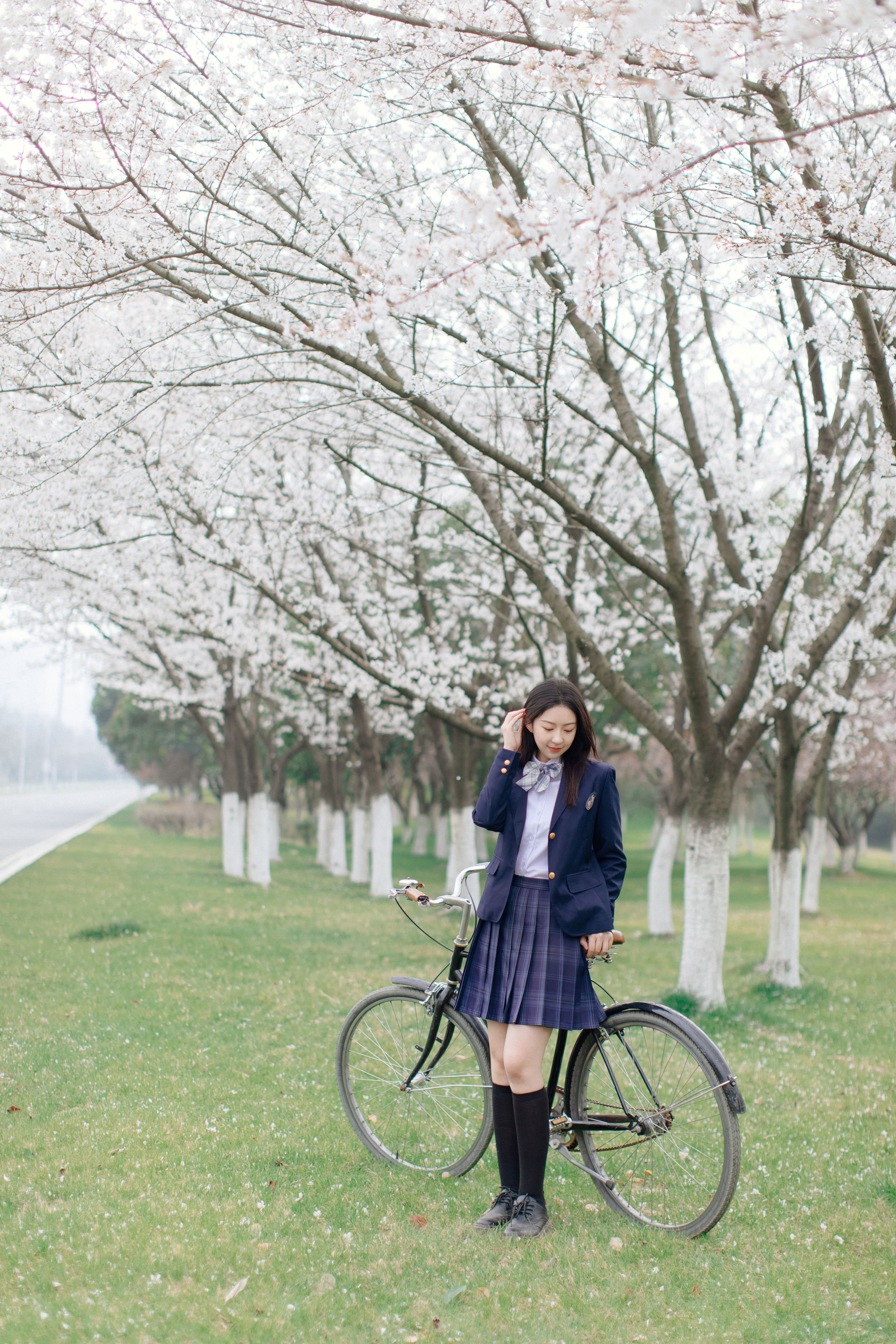 樱花时分 樱花 少女 校花 青春 花 唯美