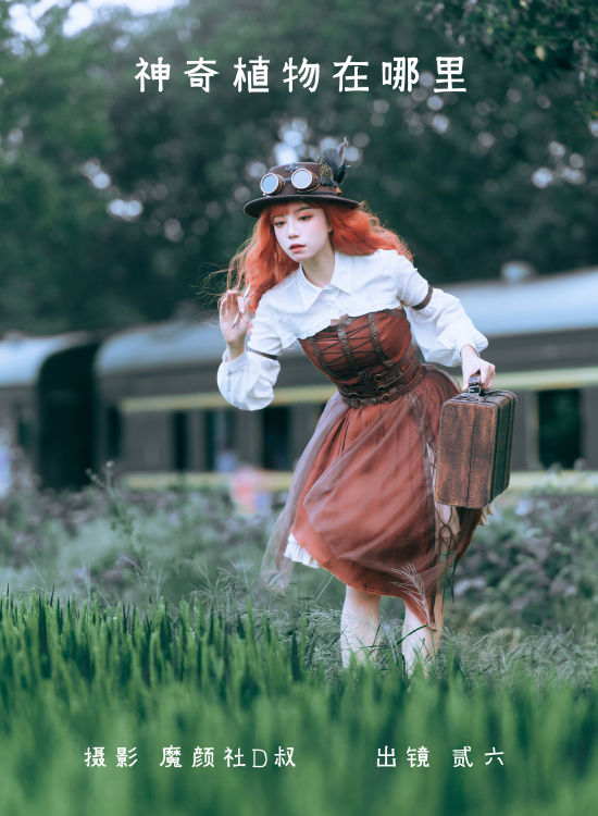 神奇植物在哪里 复古 树林 朋克 精美 养眼 非主流