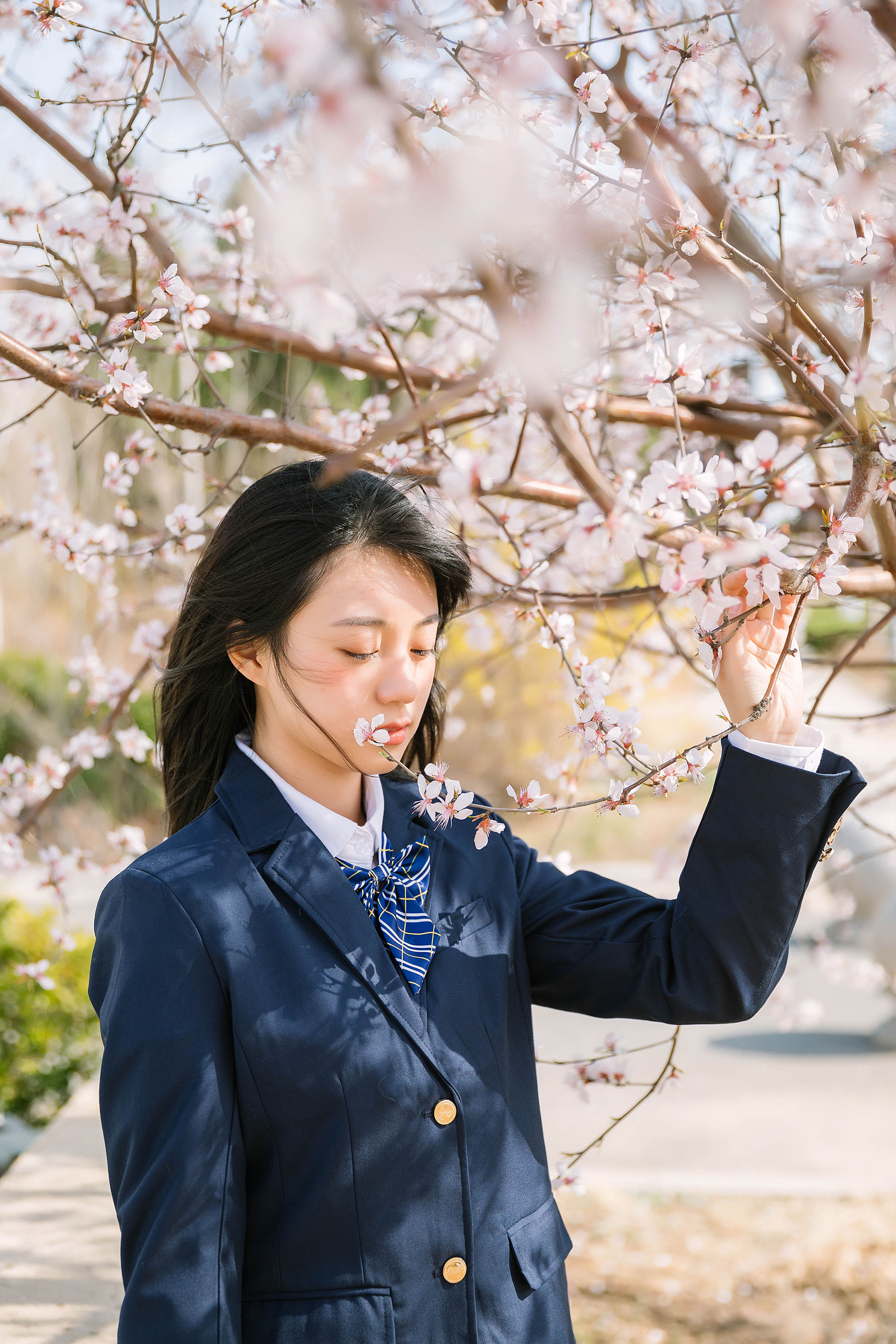 花季少女 少女 日系 樱花 学院风 花 优美