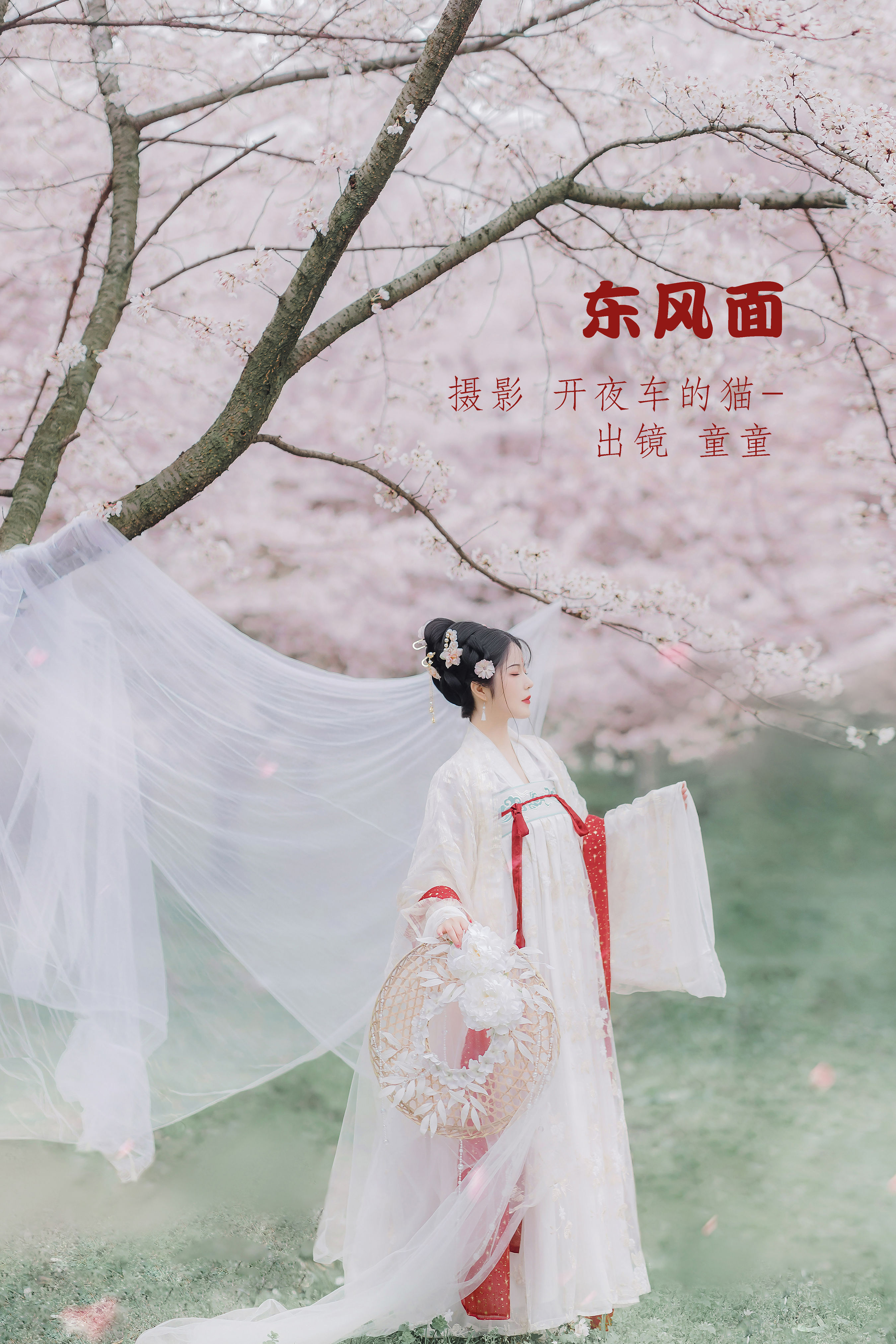 东风面 精美 樱花 仙气 古风 唯美 花 清冷美人 优美