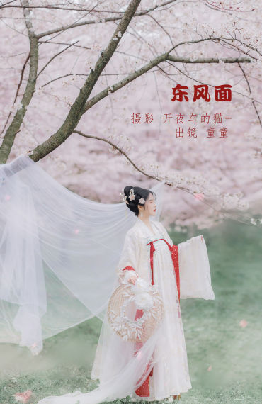 东风面 精美 樱花 仙气 古风 唯美 花 清冷美人 优美