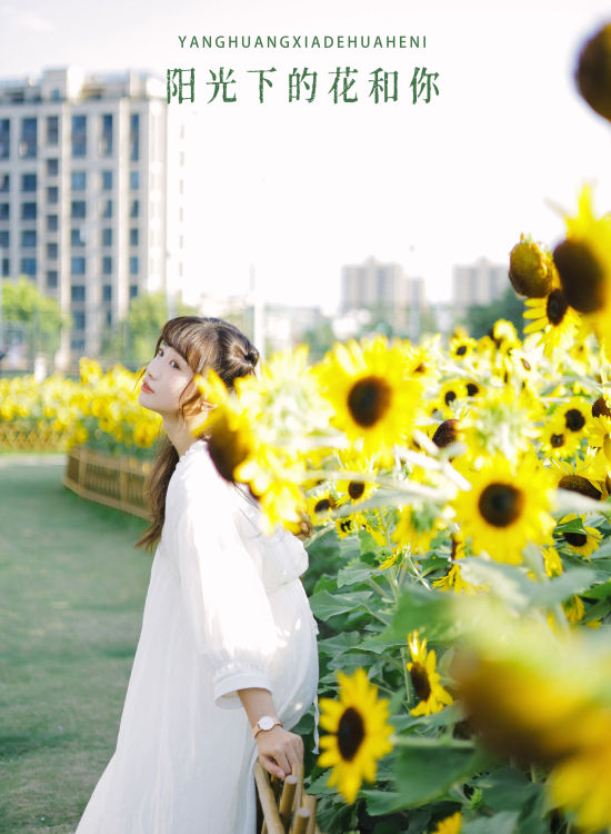 阳光下的花和你 日系 少女 向日葵 花 写真集