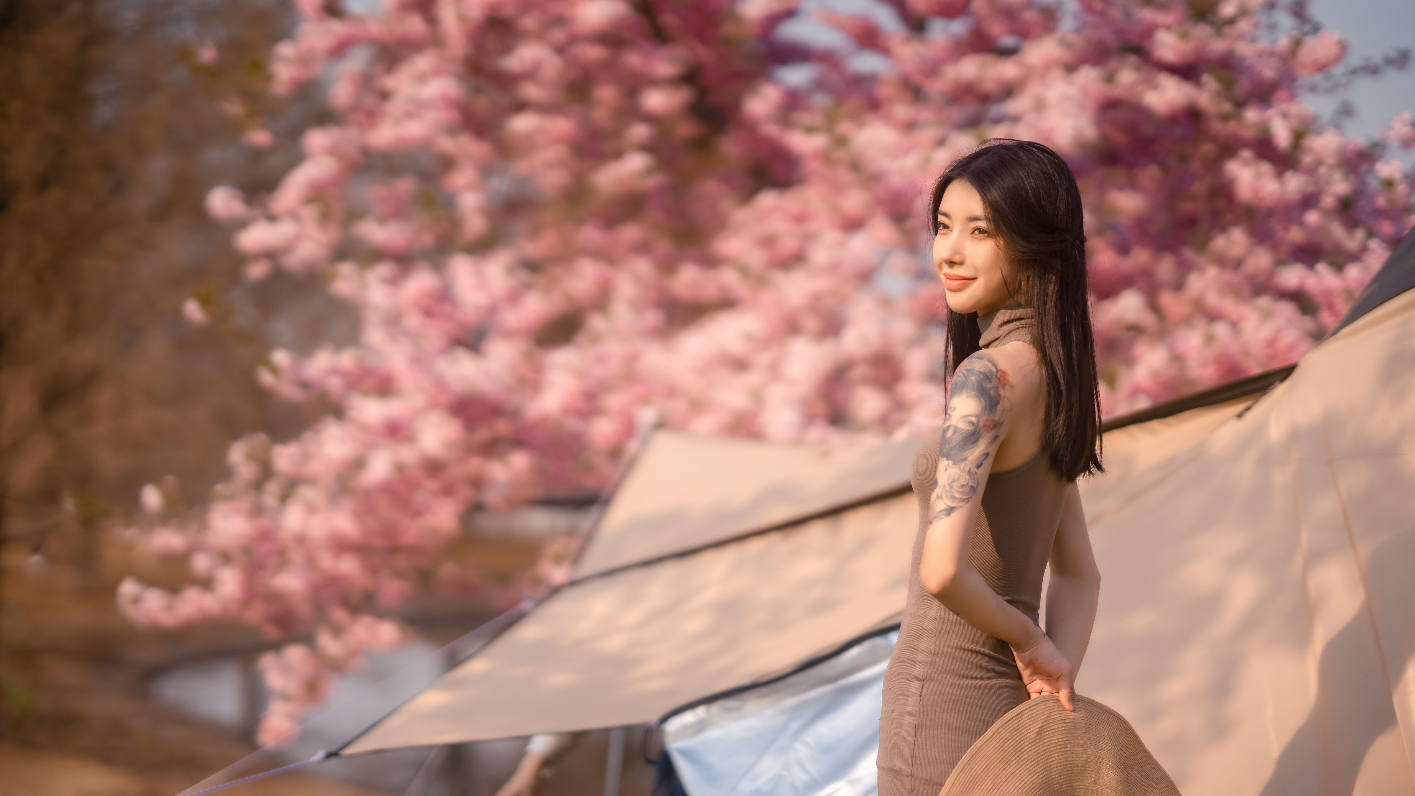 早樱绚烂 樱花 女神 唯美 花 小清新 精美 唯美 养眼