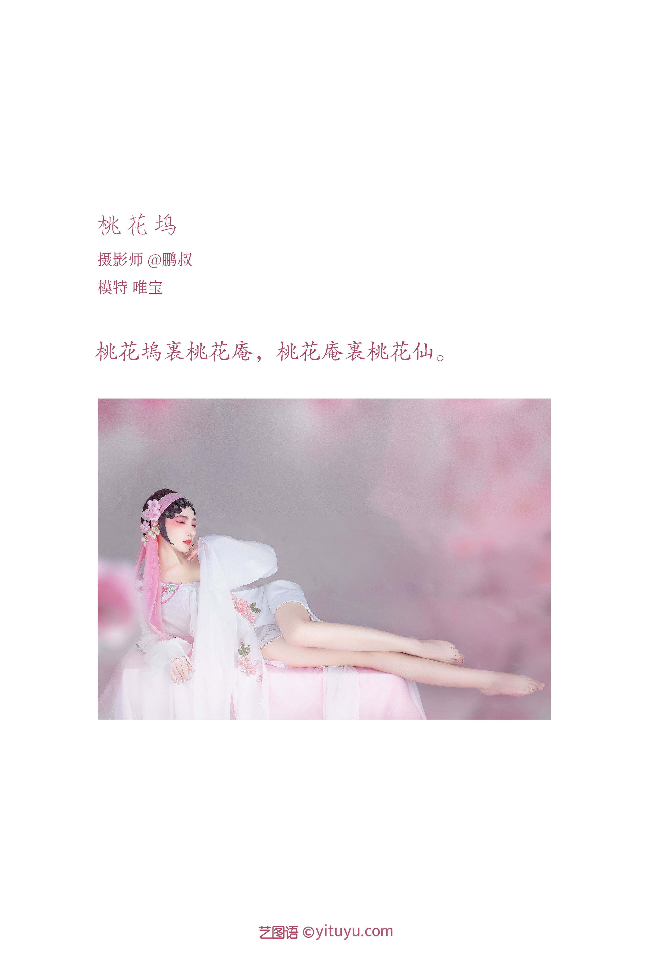 桃花坞 工笔画 画意摄影 戏曲人物 花 古装