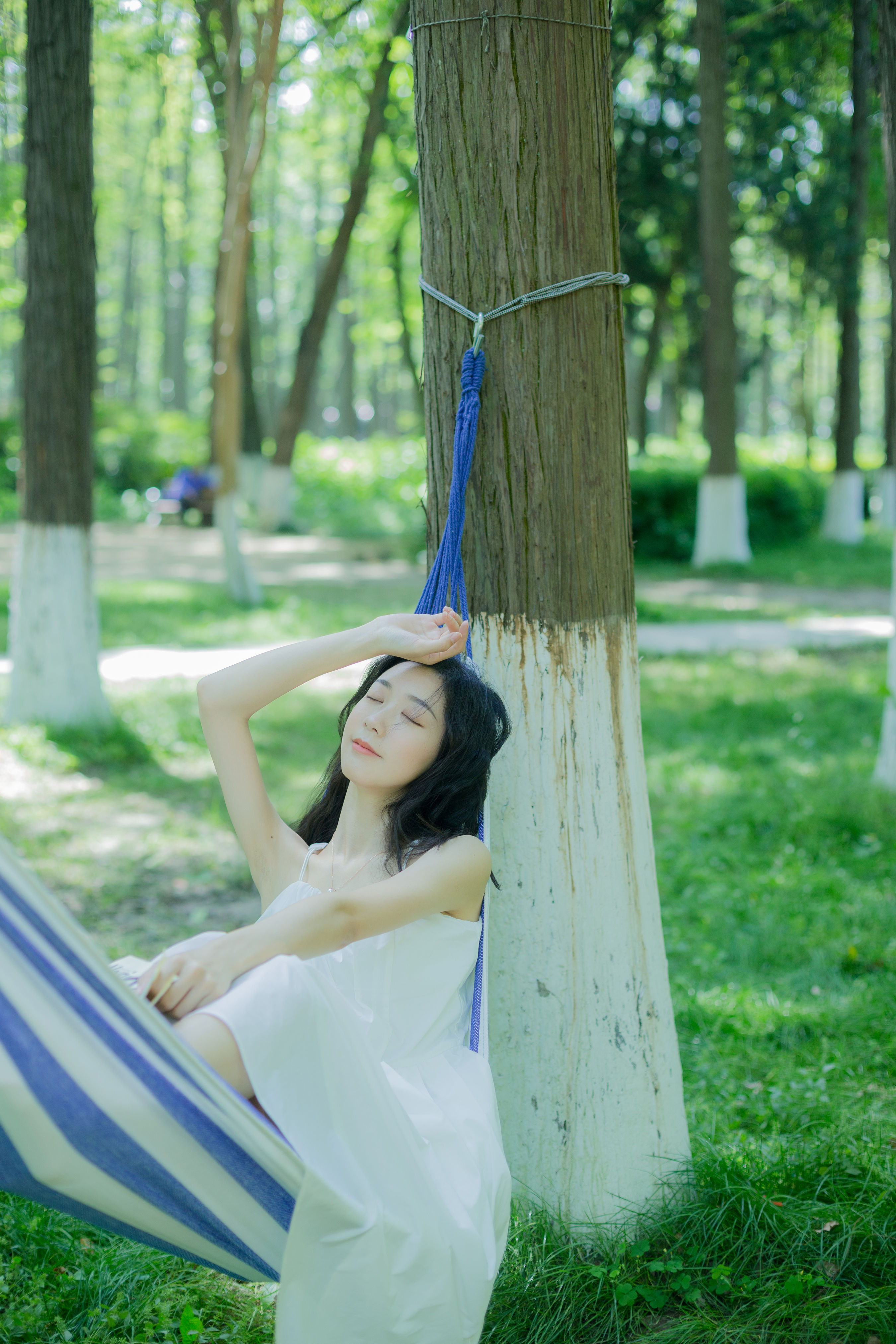 沉沦夏日 小清新 树林 夏天 养眼