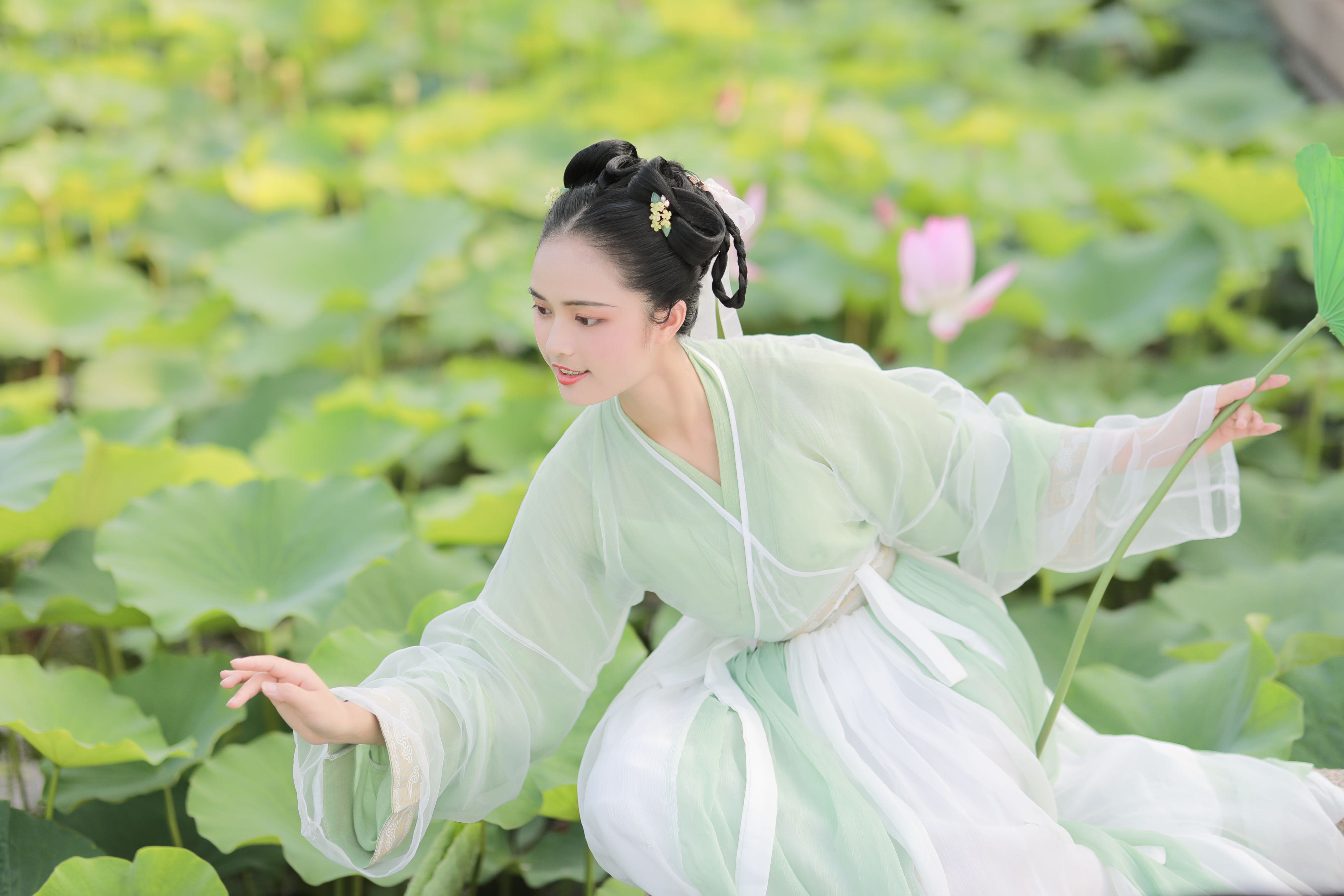 荷趣 荷花 小清新 少女 古风