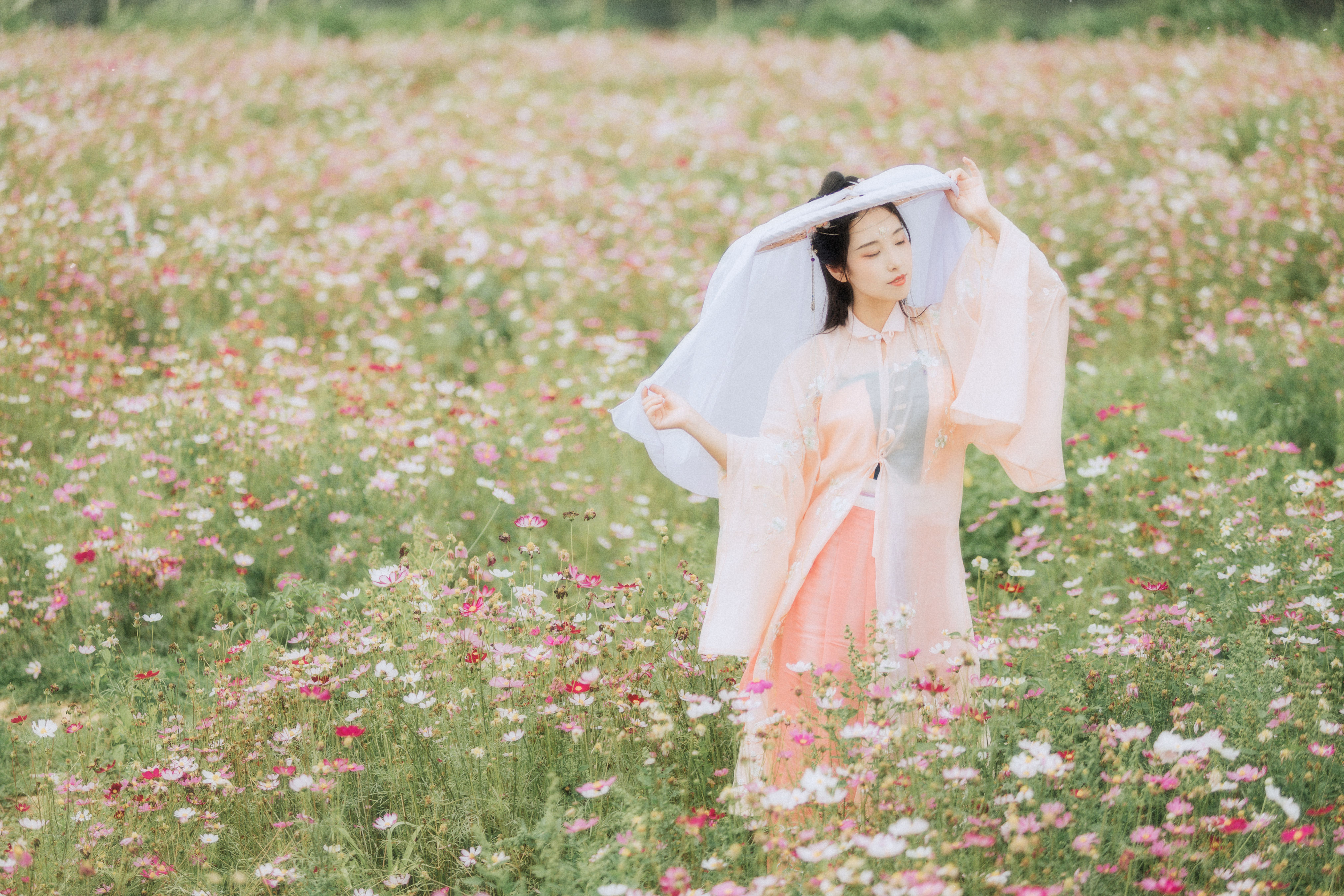 繁花孤影 古装 胶片 花