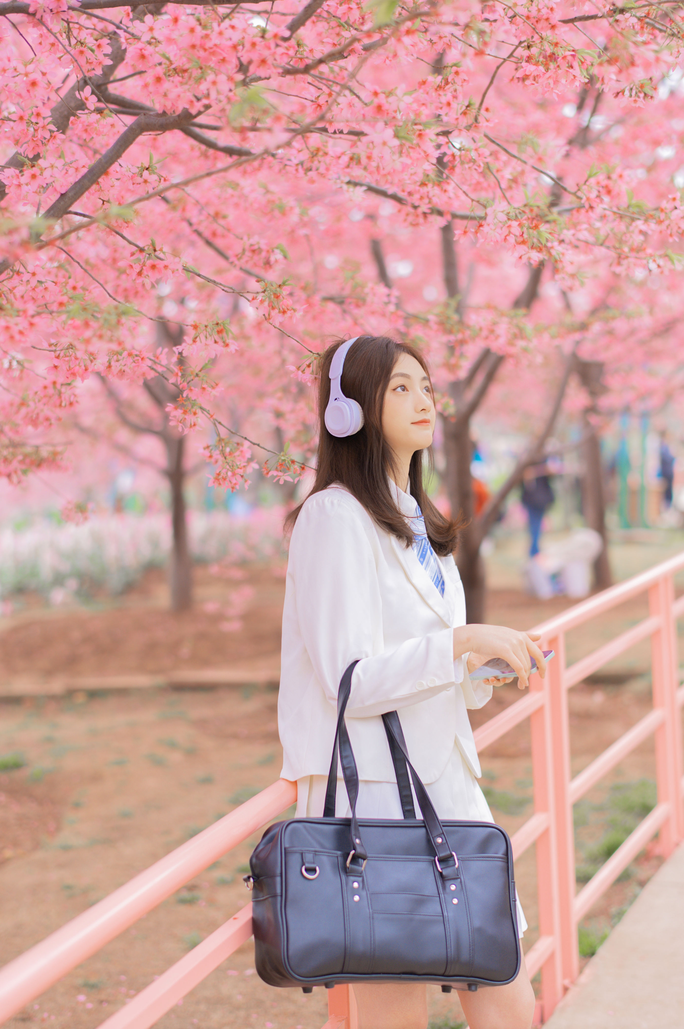 樱吹叶 女生 樱花 花 写真集