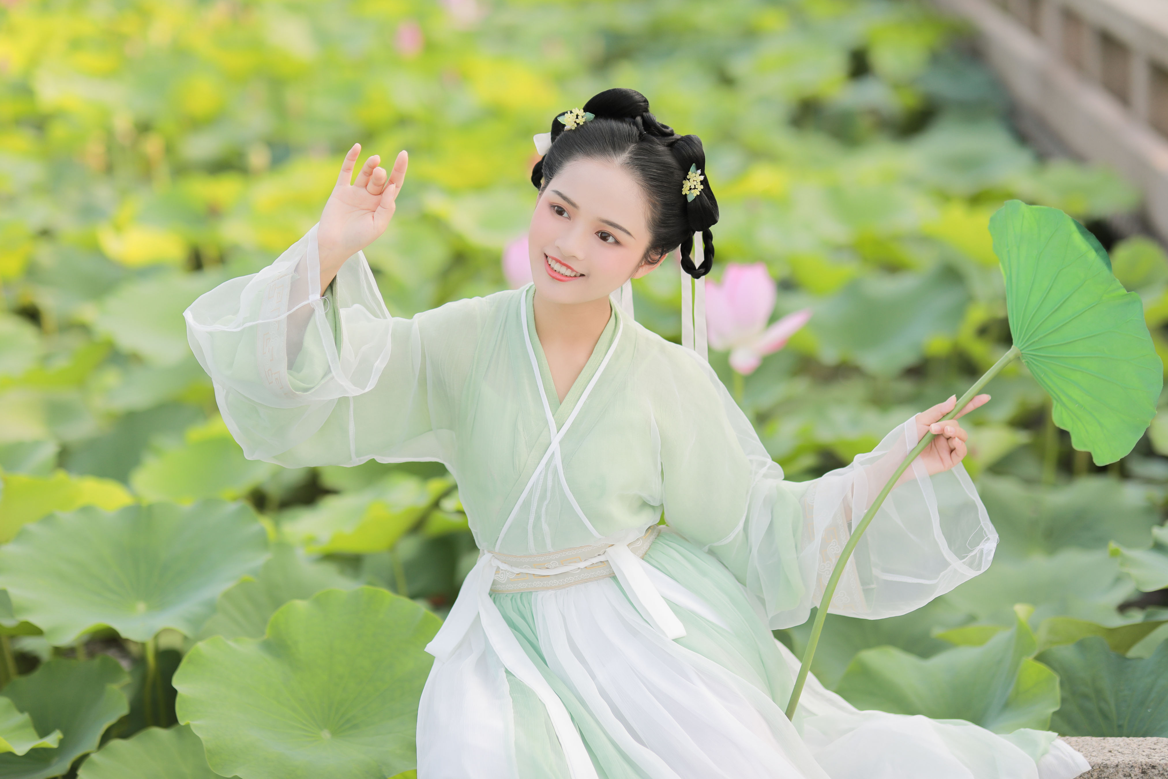 荷趣 荷花 小清新 少女 古风