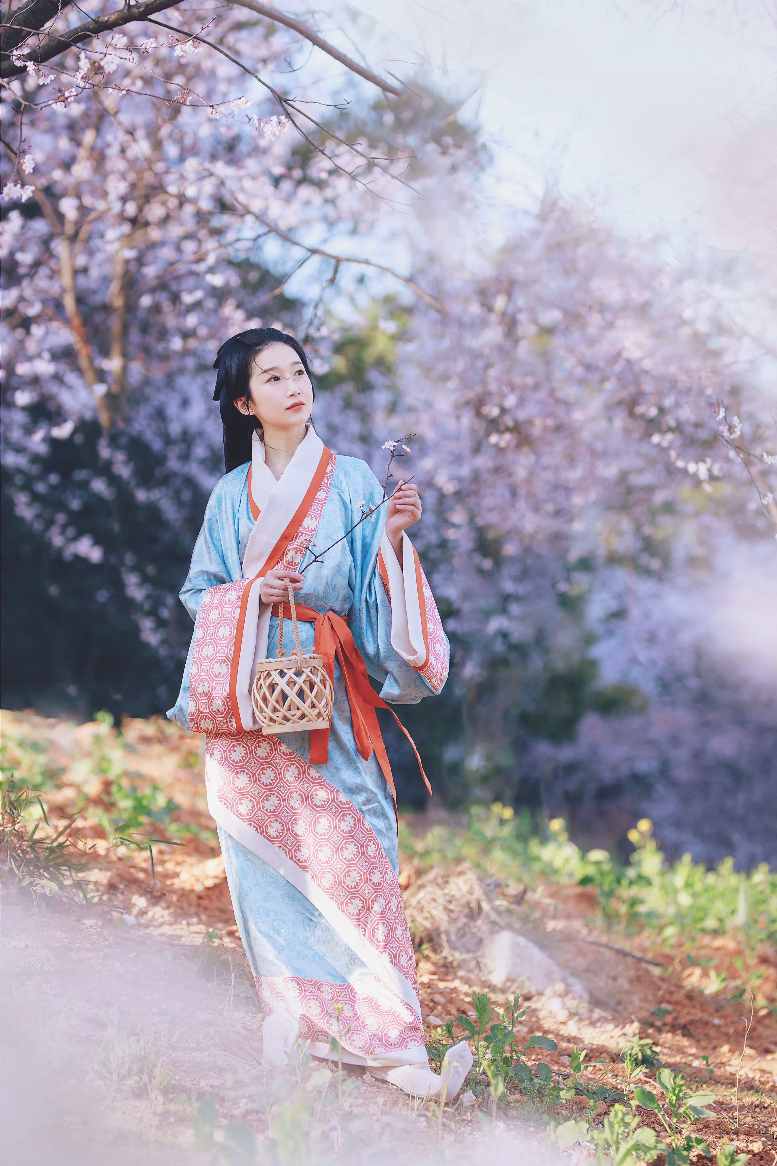 樱落 古装 樱花 古风 花 唯美 精美 美好 优雅