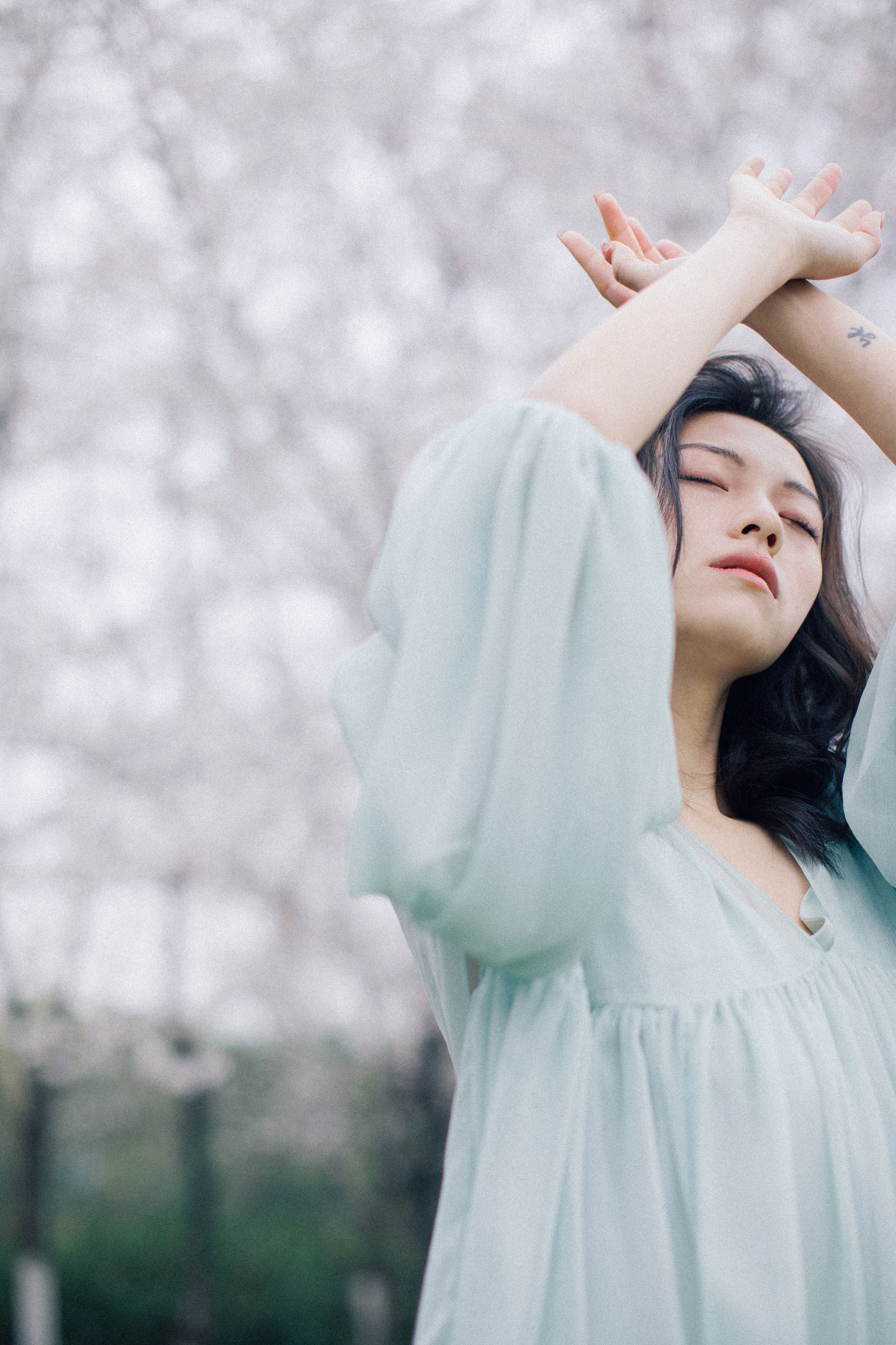 落樱缤纷 樱花 唯美 胶片 花 少女 日系