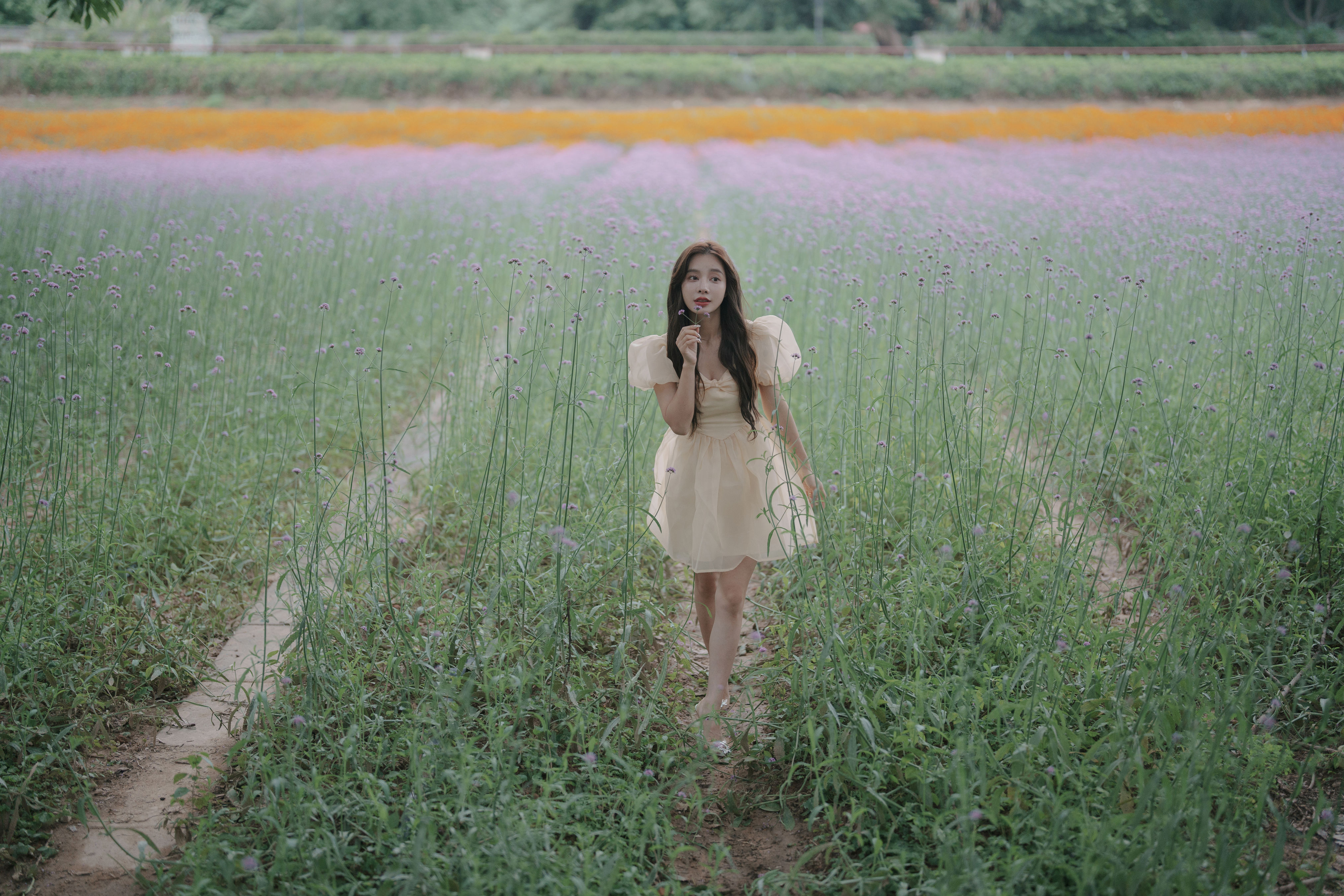 阴雨天，森林里的精灵 森系女孩 精美