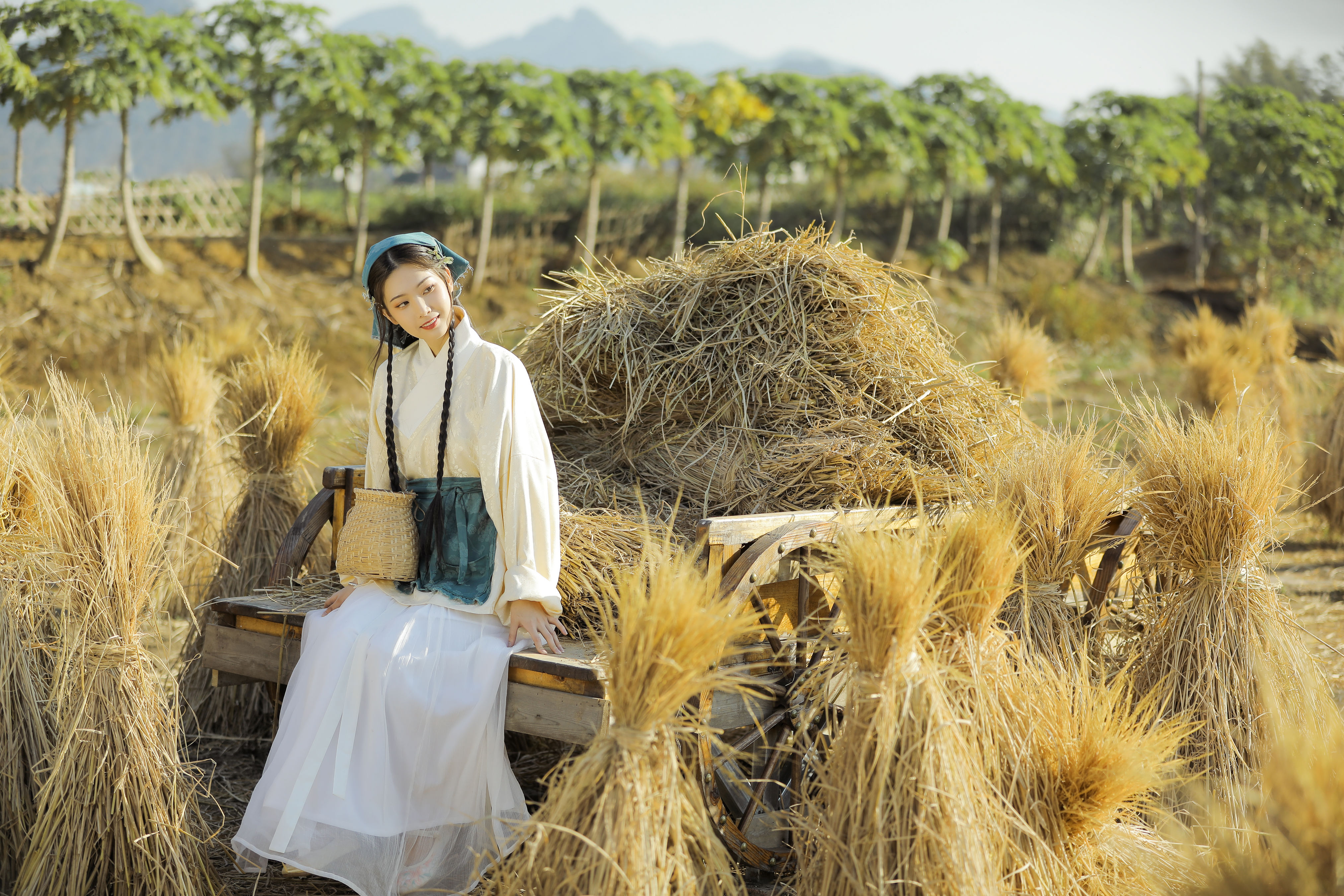 芒种 治愈系 田园生活 小清新 艺术 古风 美好 漂亮 精美