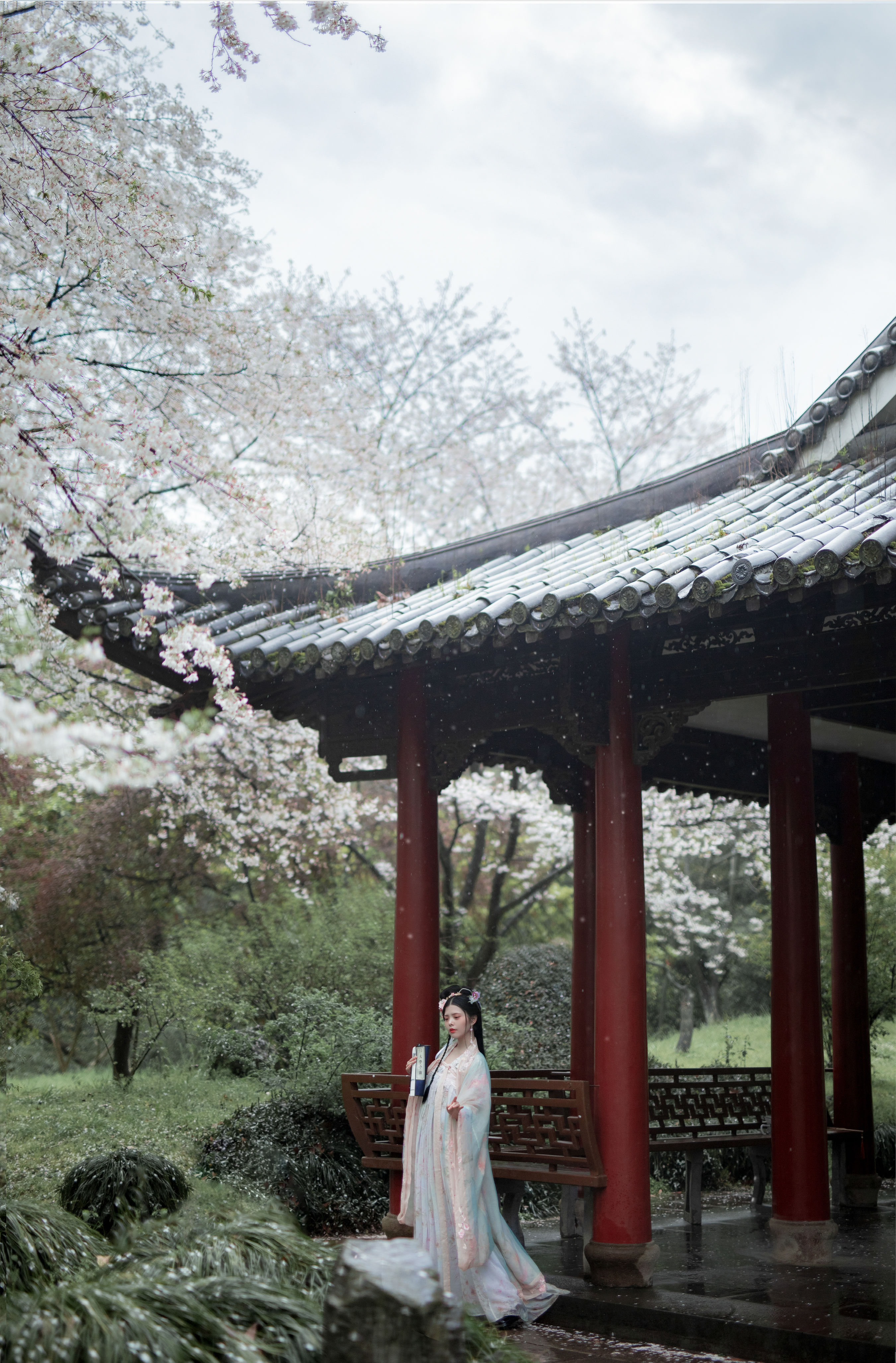 樱 唯美 清新唯美 意境 优雅 古风 花 樱花