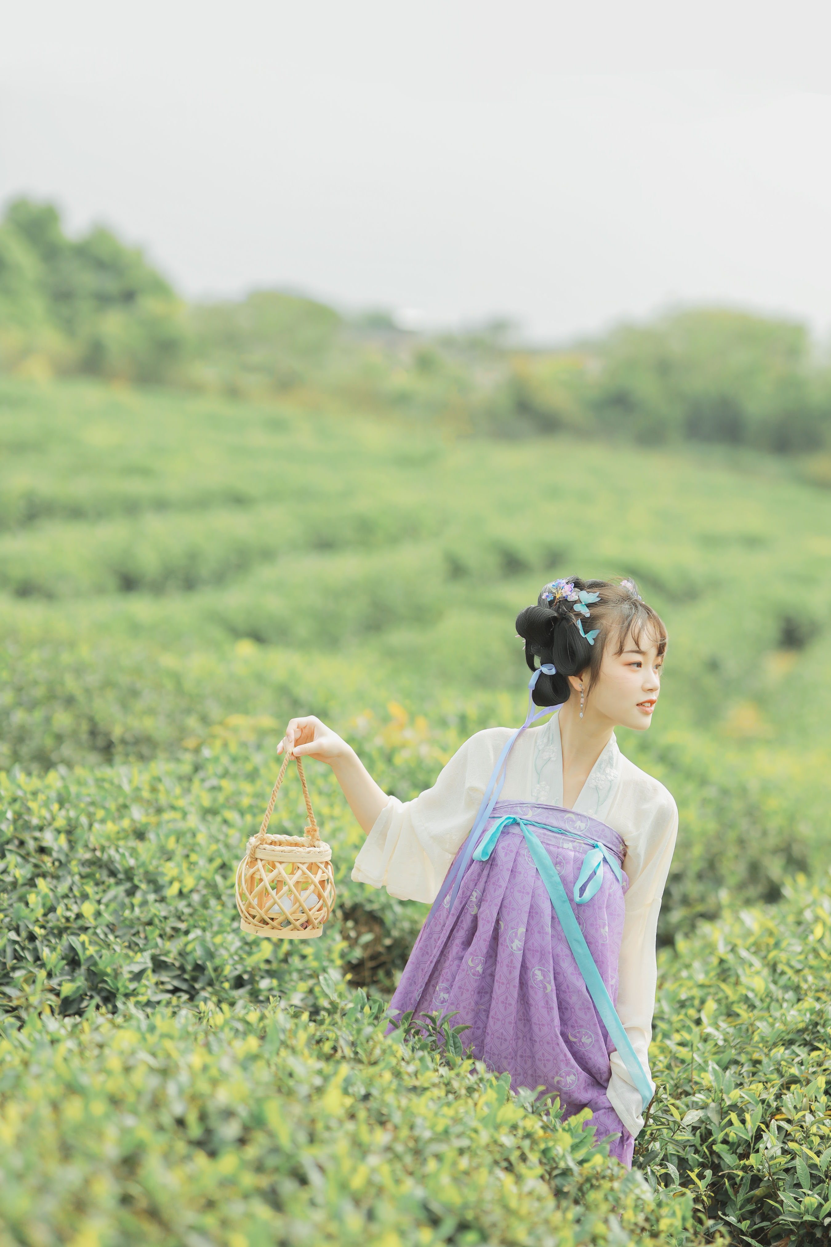 青青白茶 小清新 少女 采茶女 古装