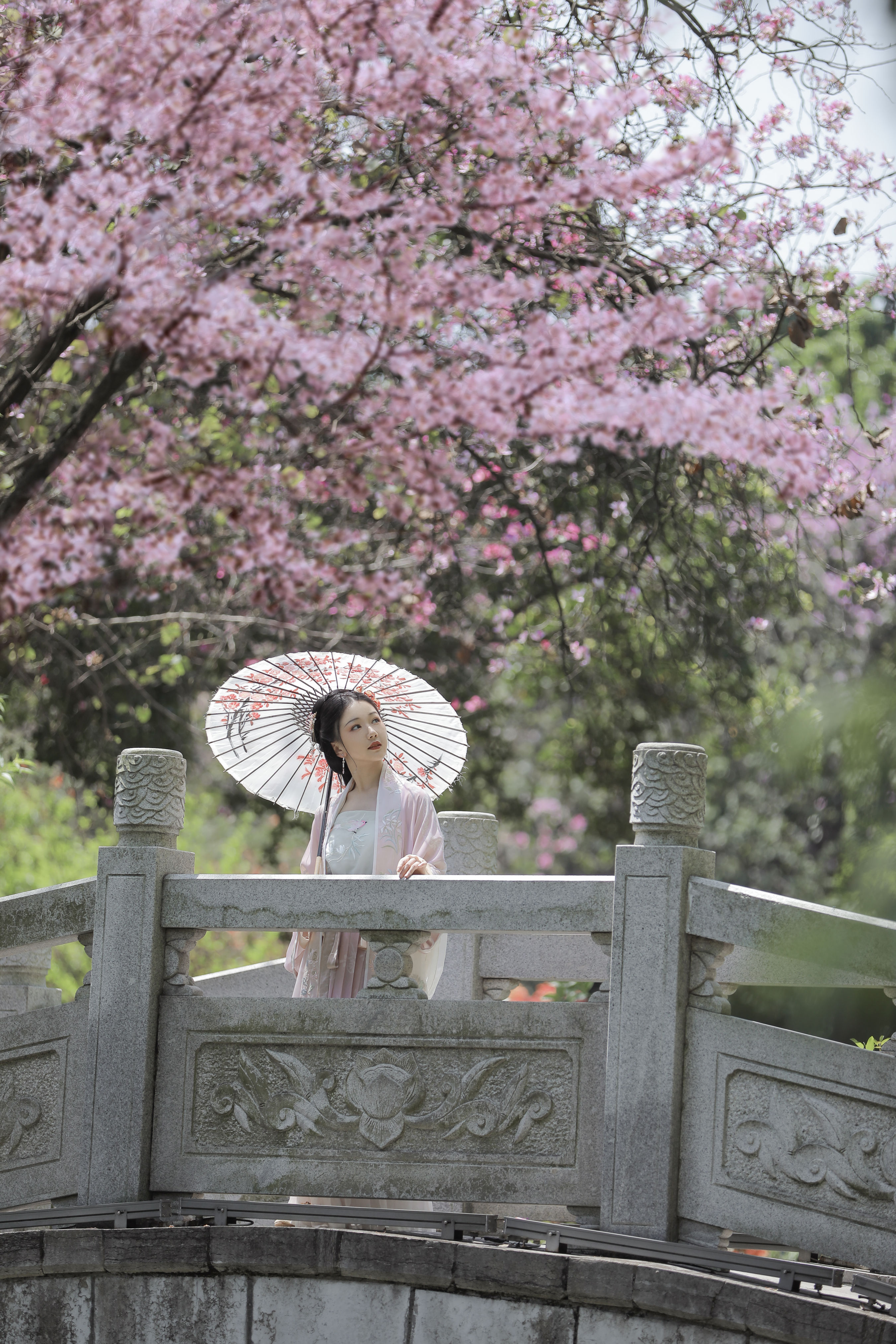 落花风 古风 仙气 唯美