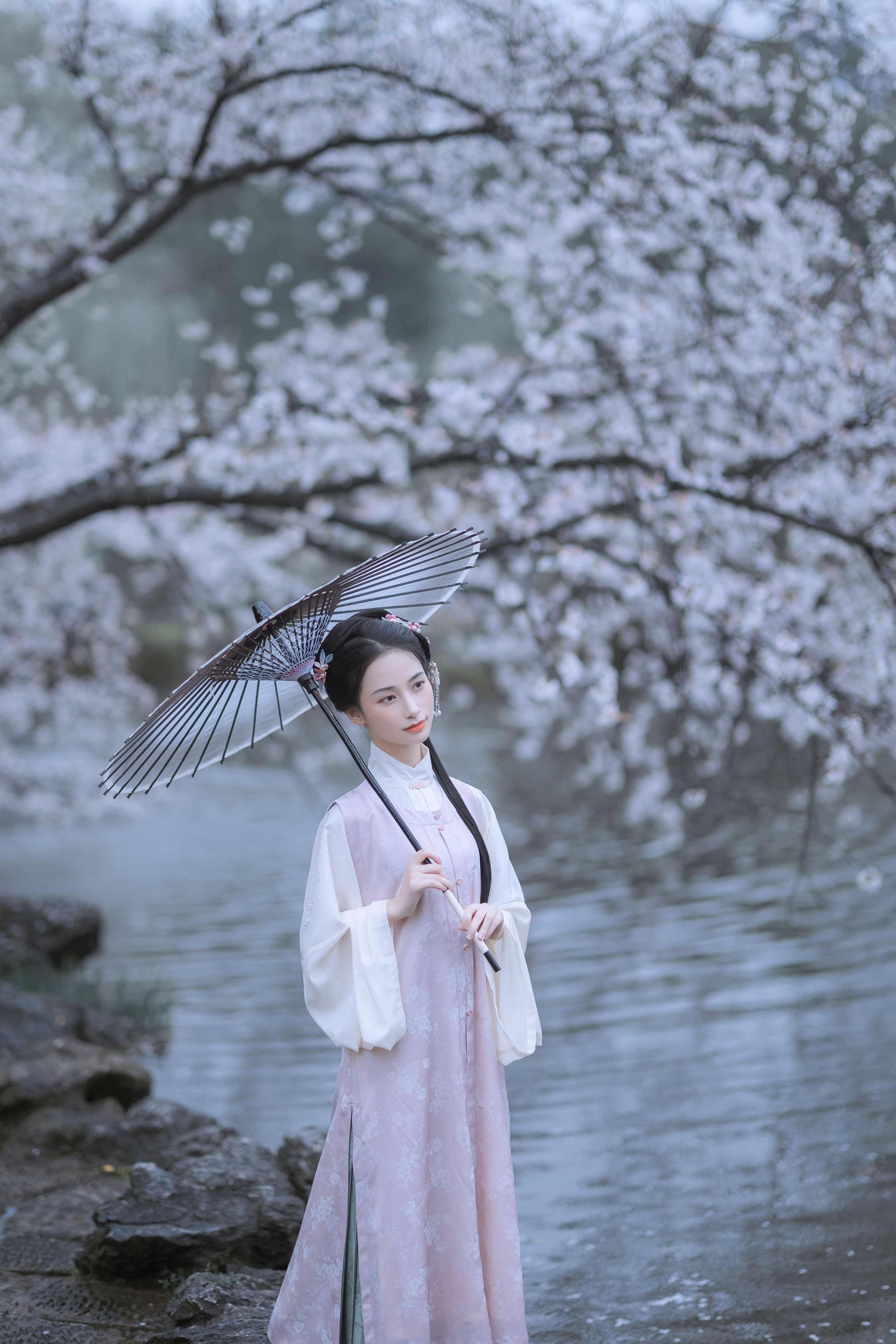 雨樱花 樱花 古风 唯美 下雨天 花