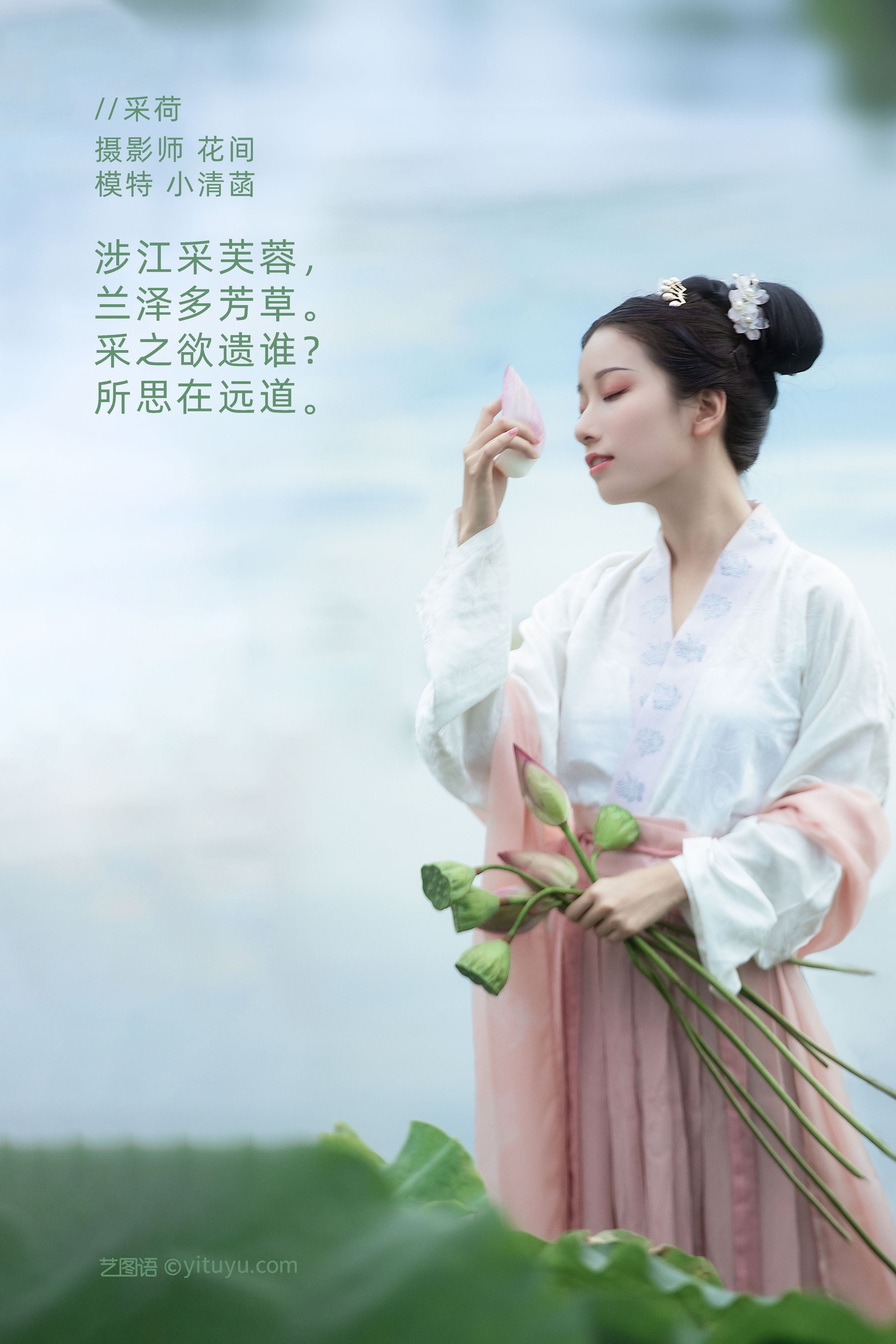 采荷 精美 荷花 古风 花 少女