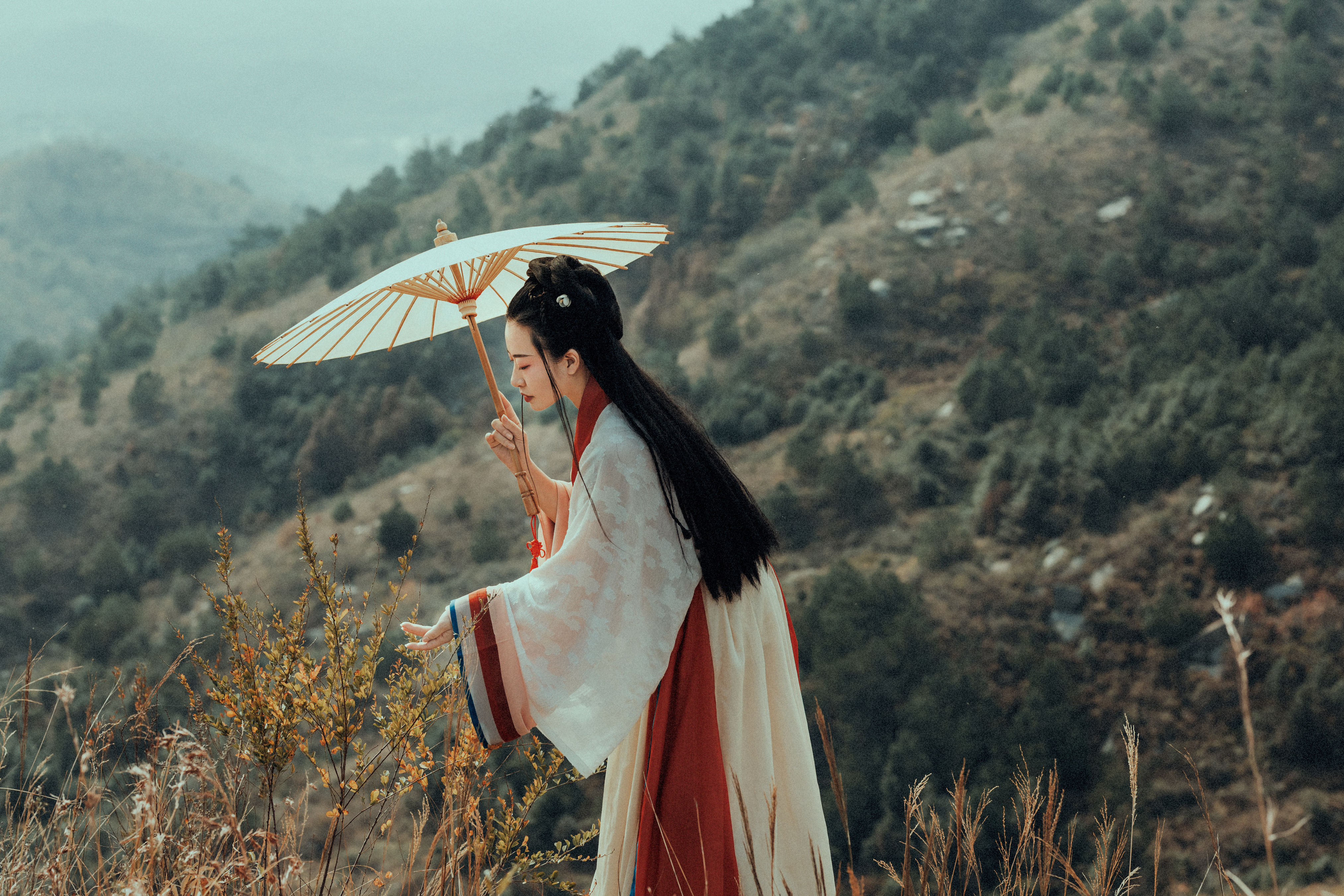 苍山知我意 意境 情感 艺术 古风 高雅 唯美