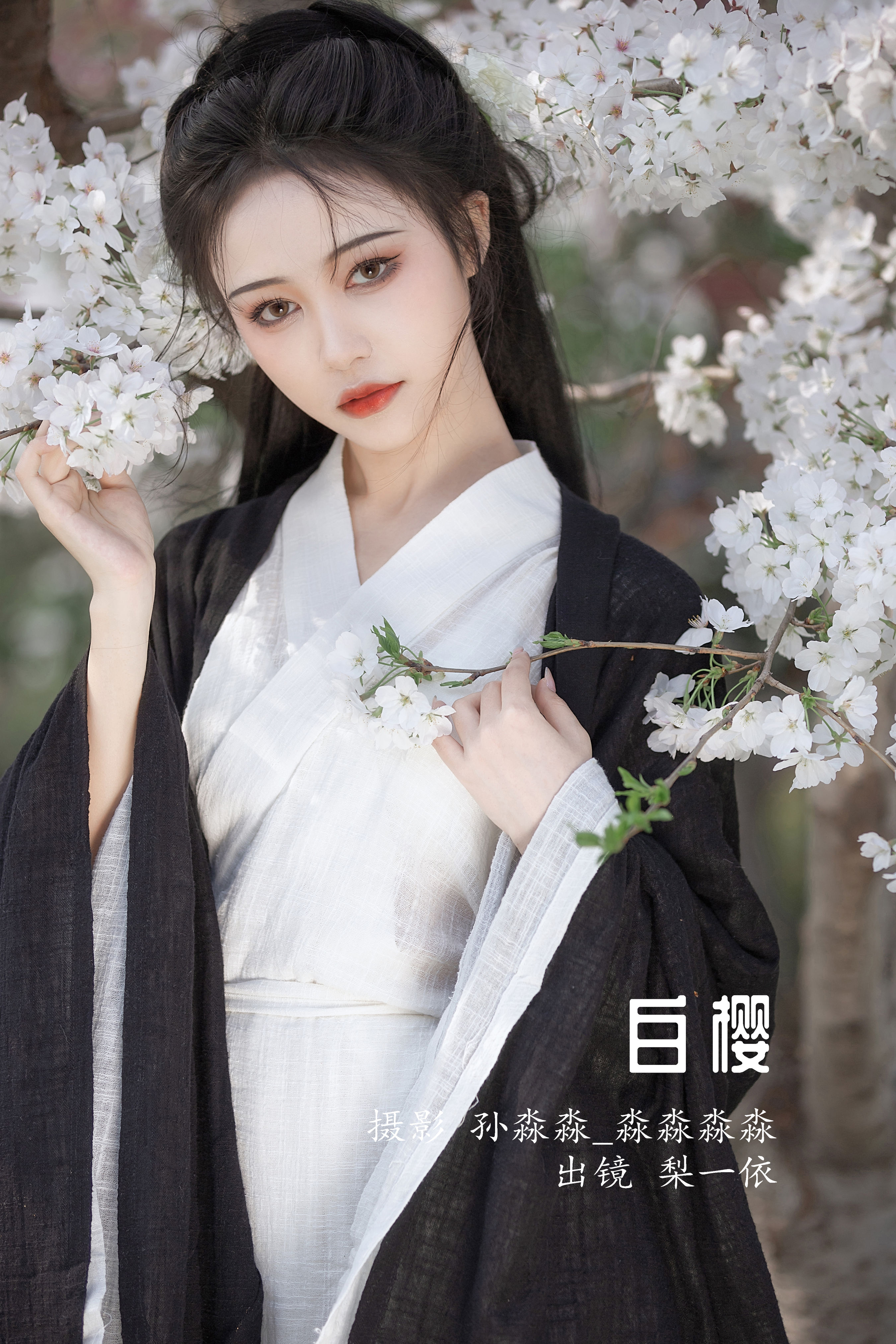 白樱 唯美 古风 花 樱花 小清新 精美 养眼 中国风