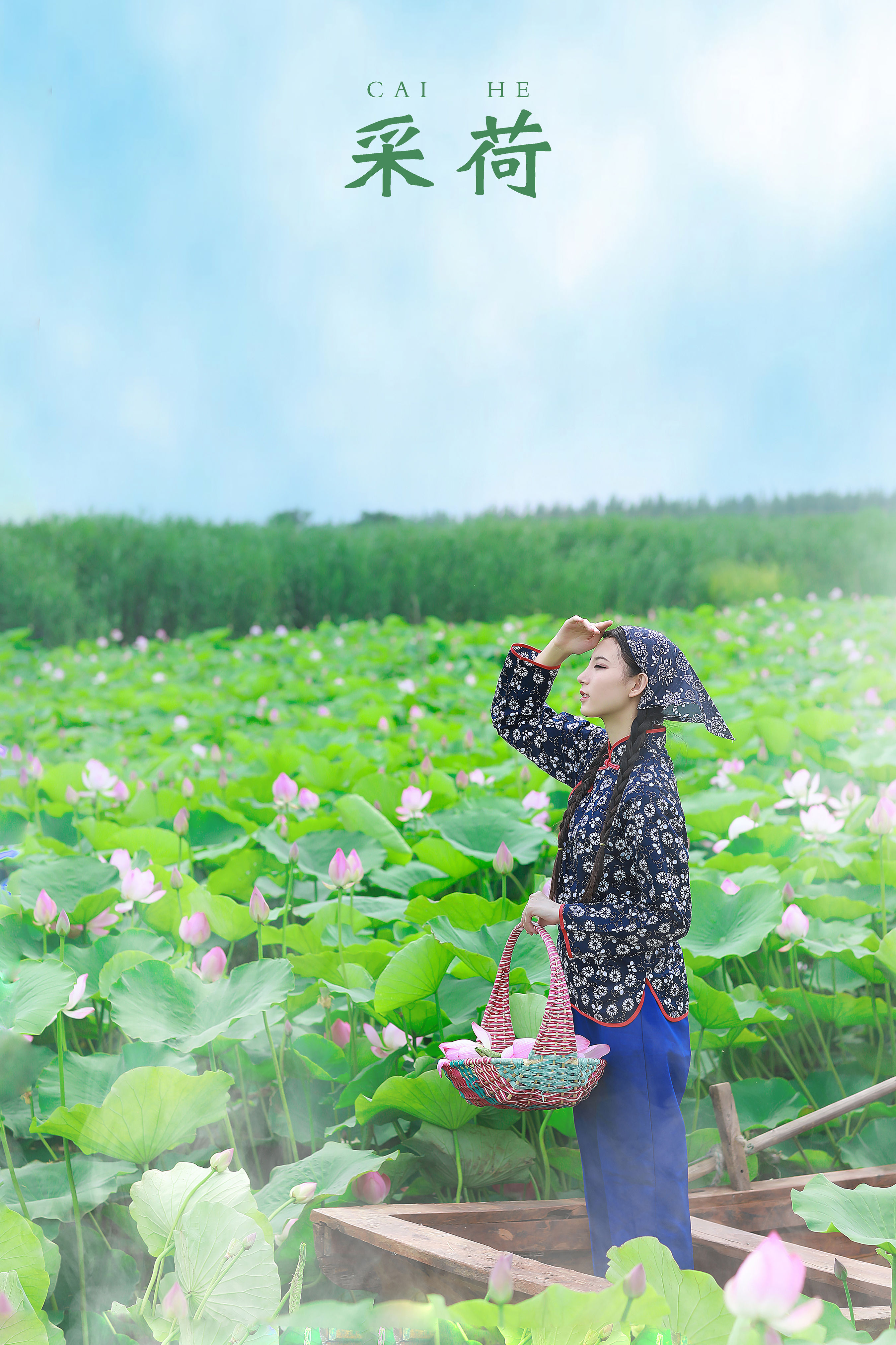 采荷 荷花 怀旧 民族风 花