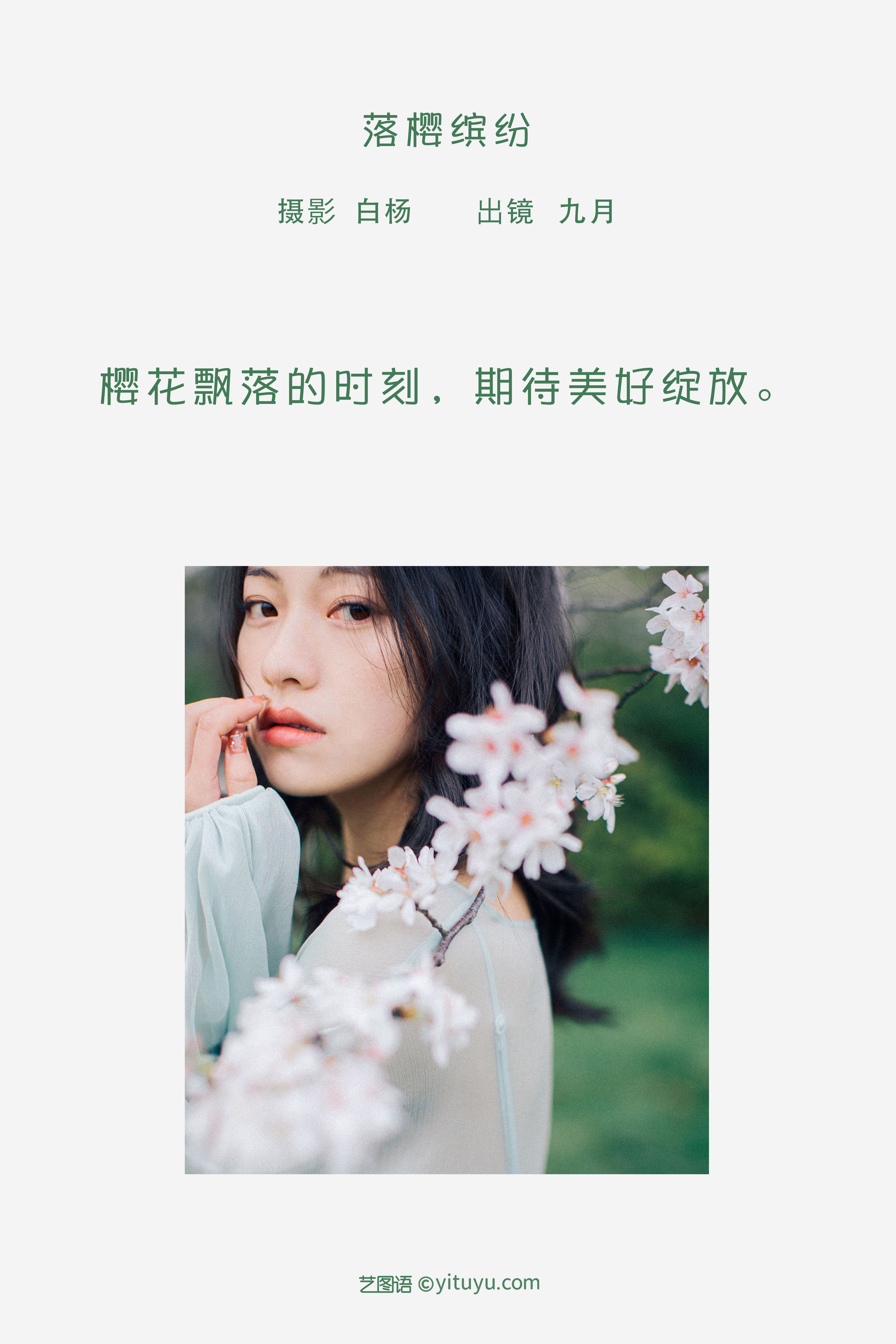 落樱缤纷 樱花 唯美 胶片 花 少女 日系