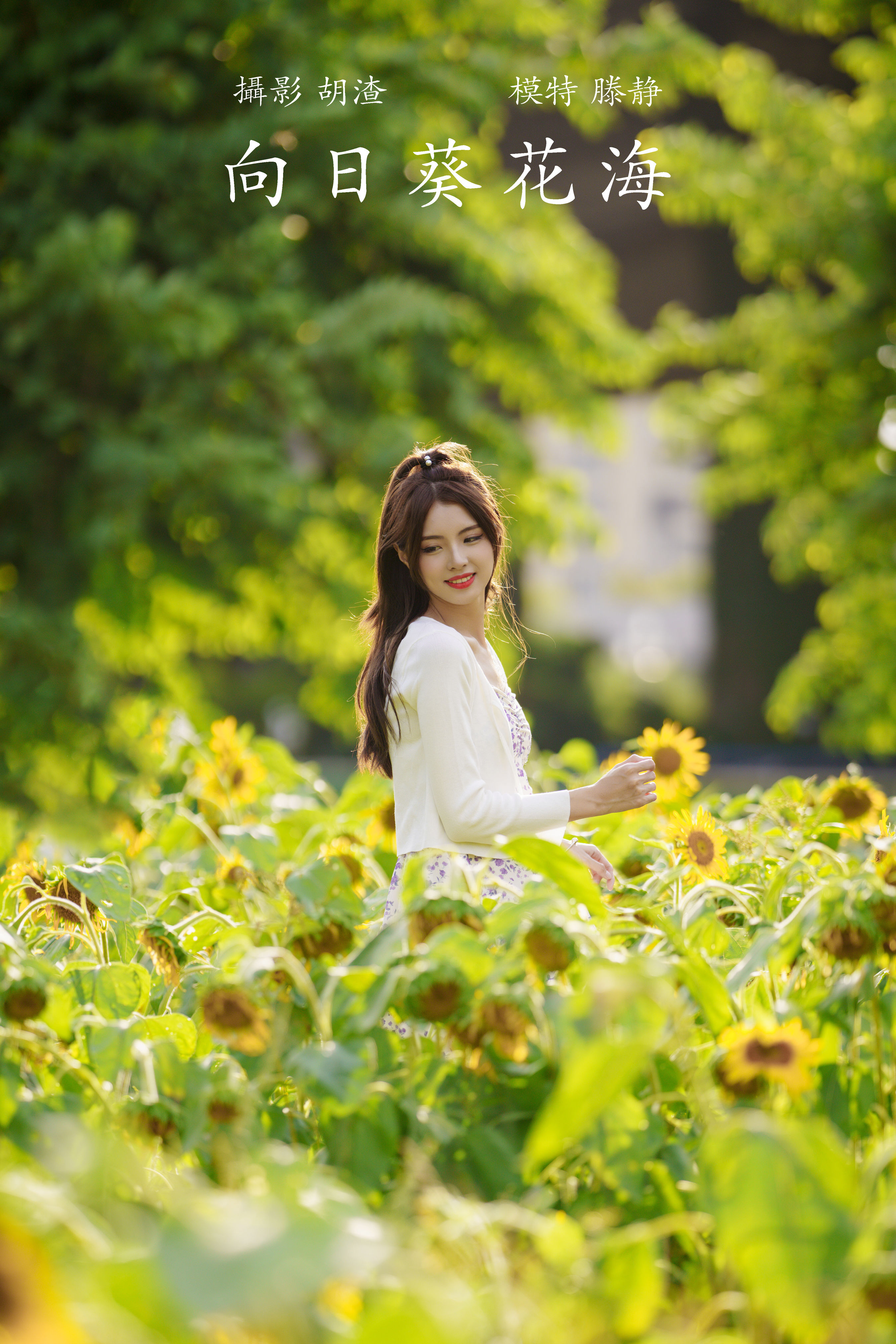 向日葵花海 小清新 花 妹子 向日葵