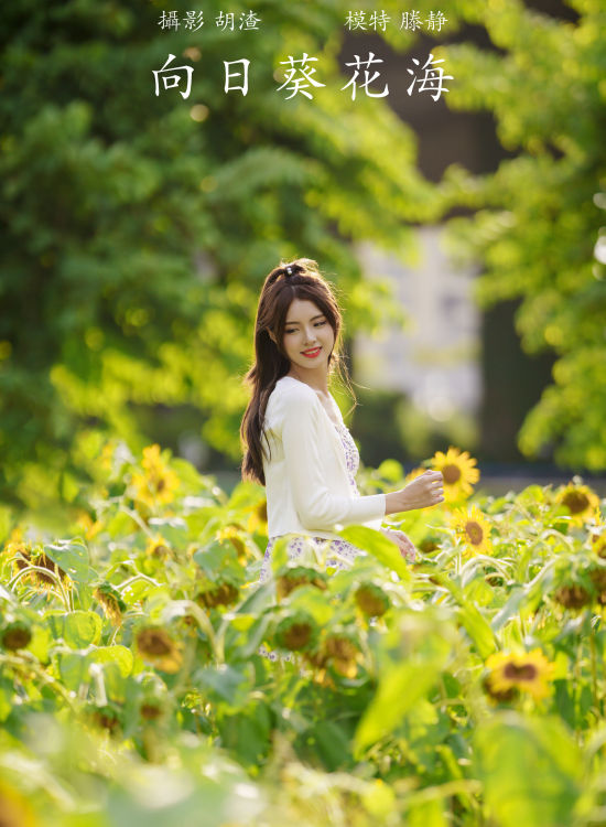 向日葵花海 小清新 花 妹子 向日葵