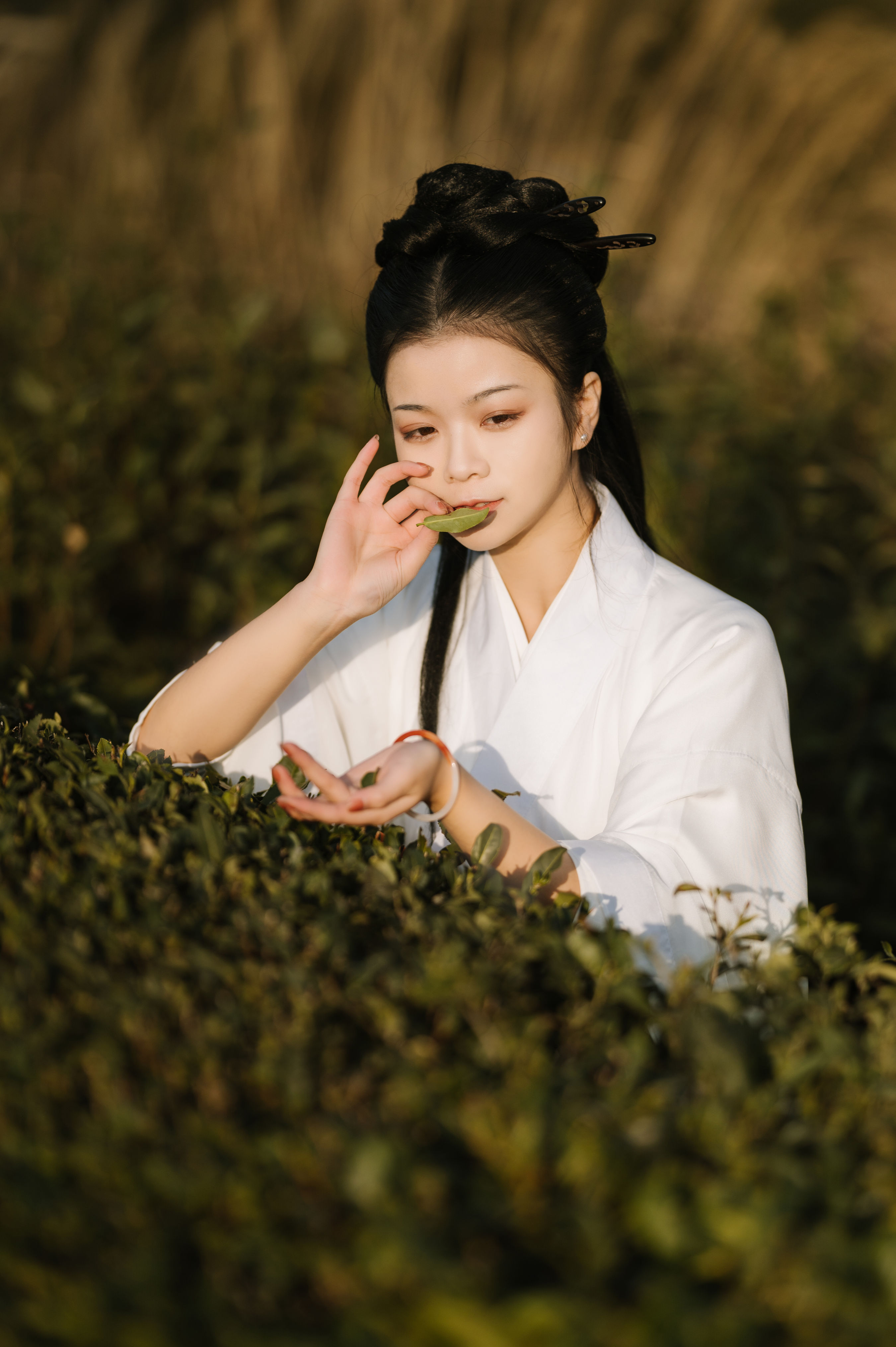 采茶 田园生活 古风白衣女子 采茶女 古风