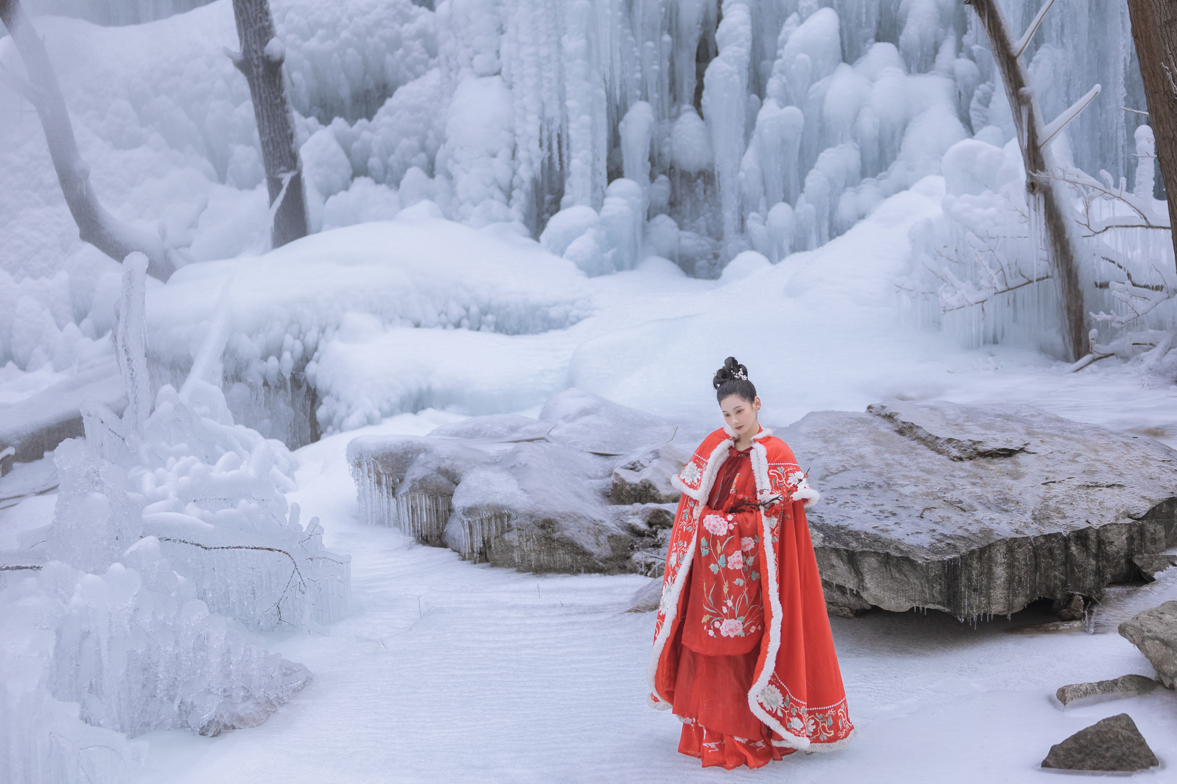 苍山暮雪 花 雪景 冬天 古装