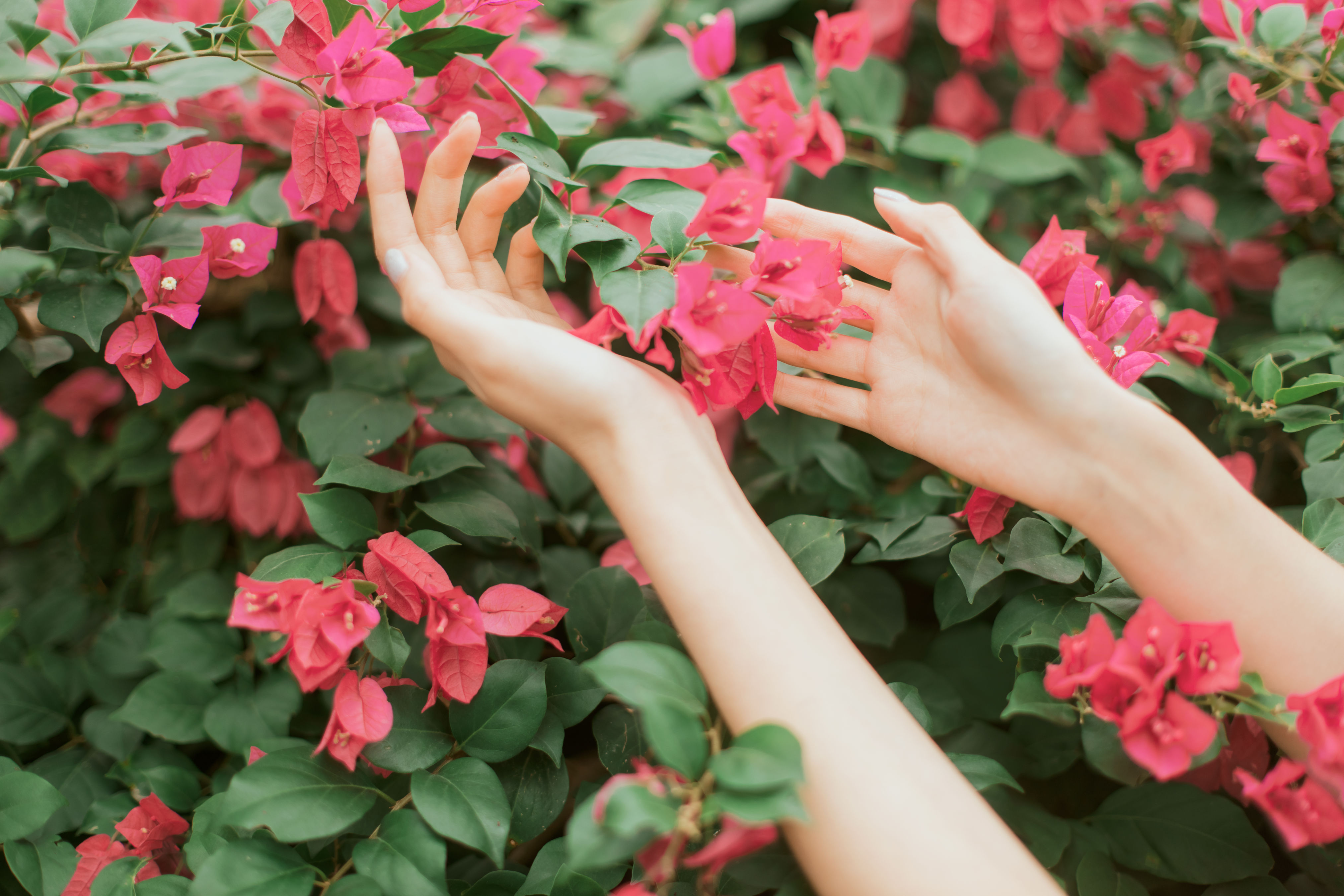 花开的季节 小清新 美好 少女 花 夏天 树林