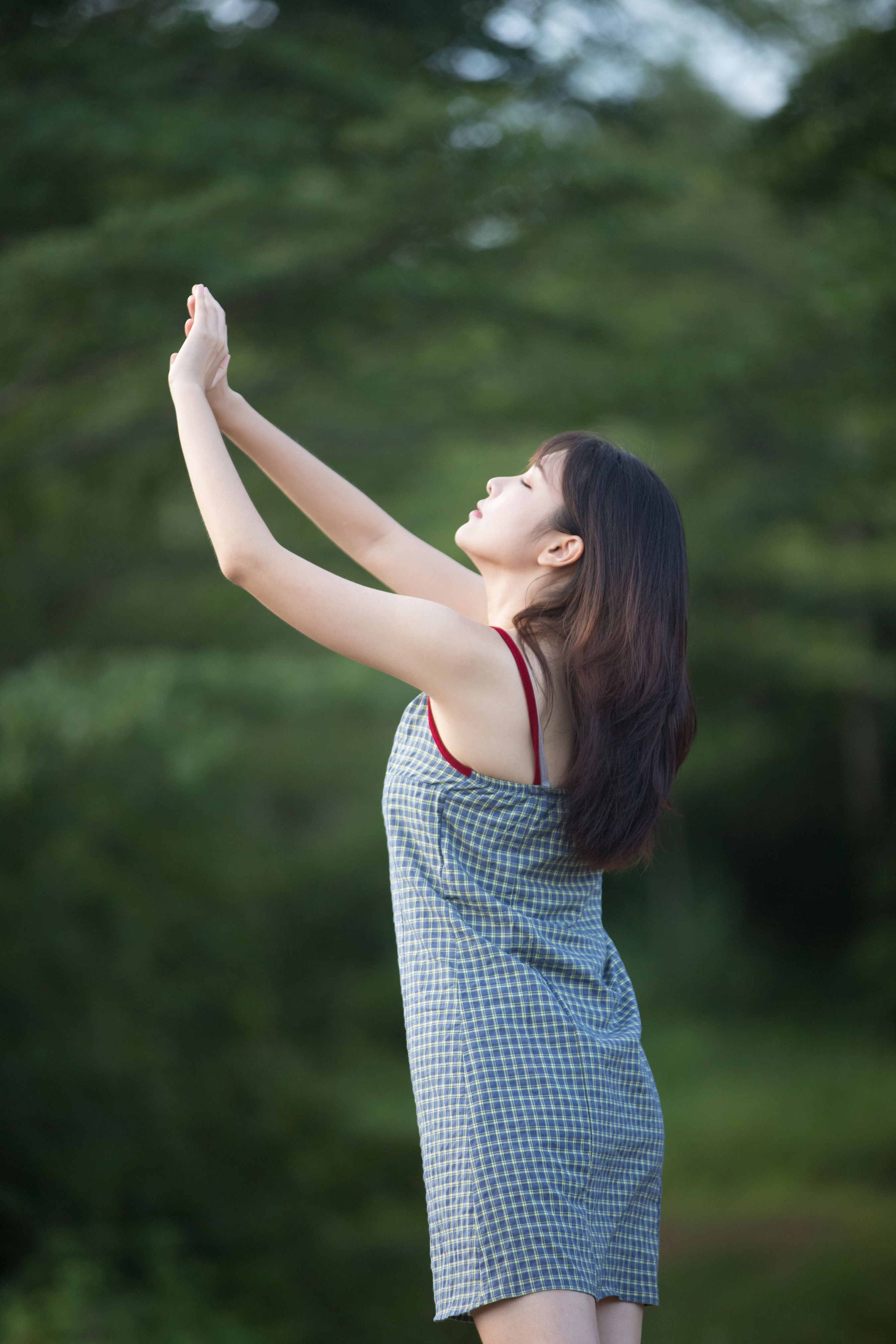 忘忧草 小清新 情感 树林 美女