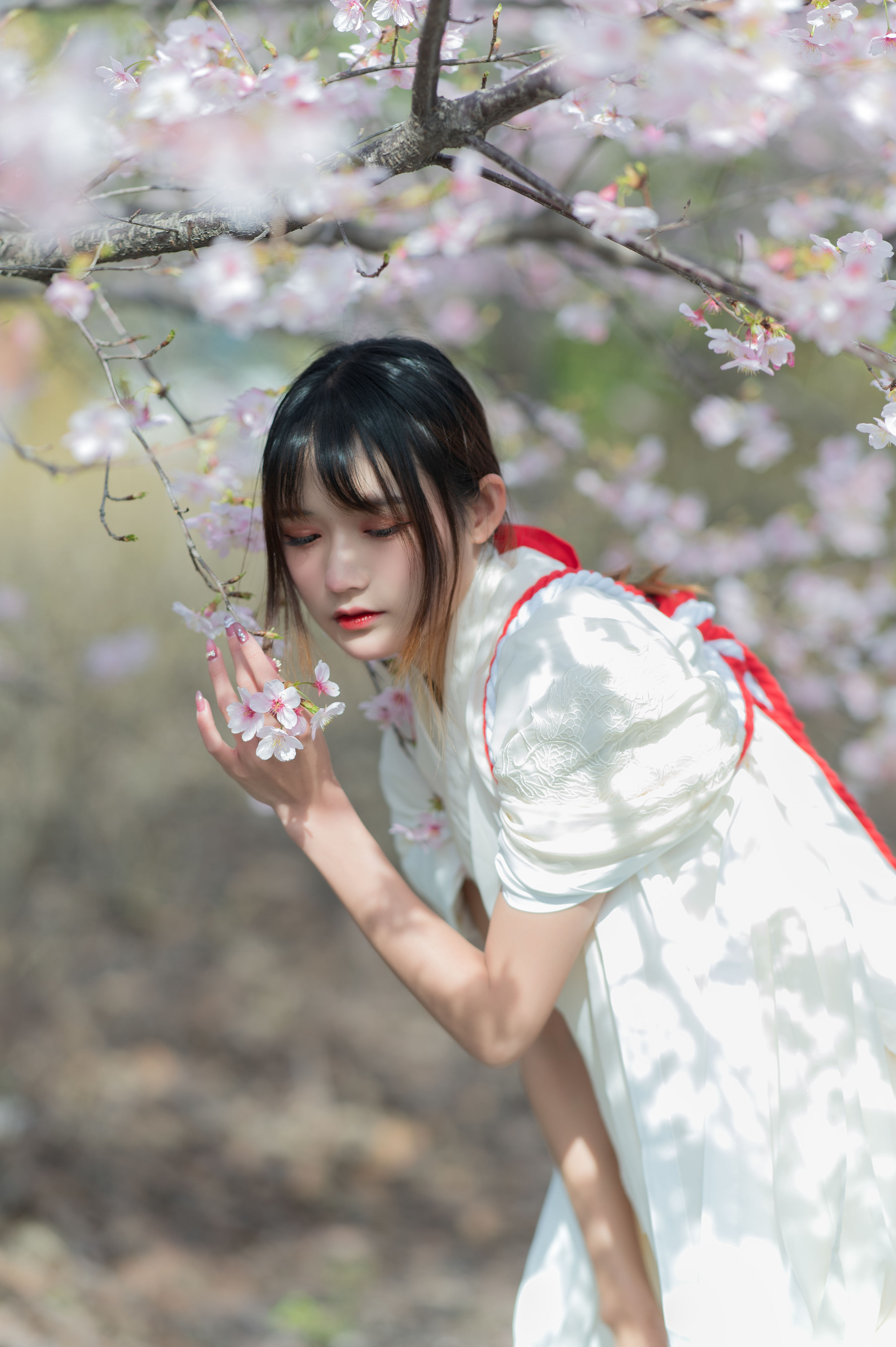 樱语 樱花 花 神明少女 古装 精美 小清新