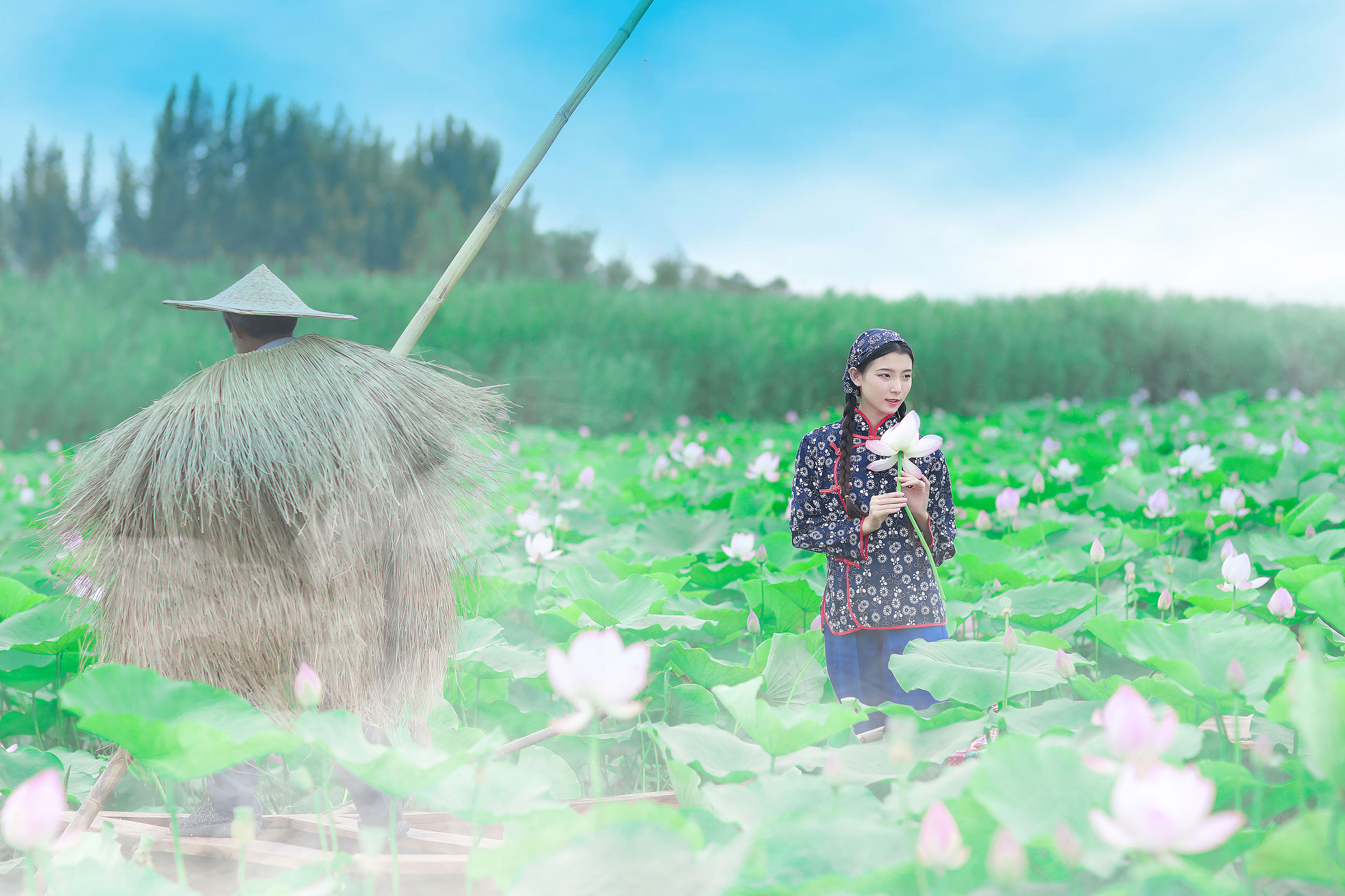 采荷 荷花 怀旧 民族风 花