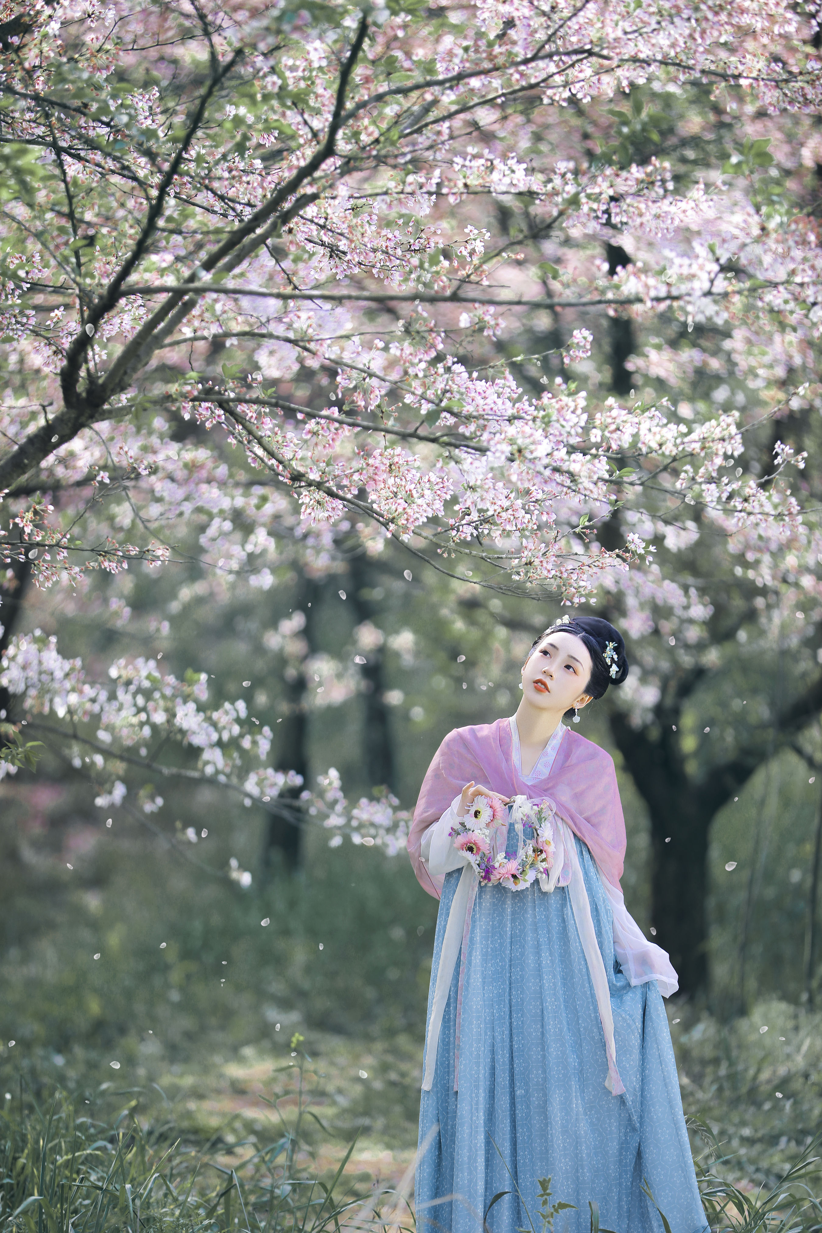 秋千架下 花 樱花 少女 古风