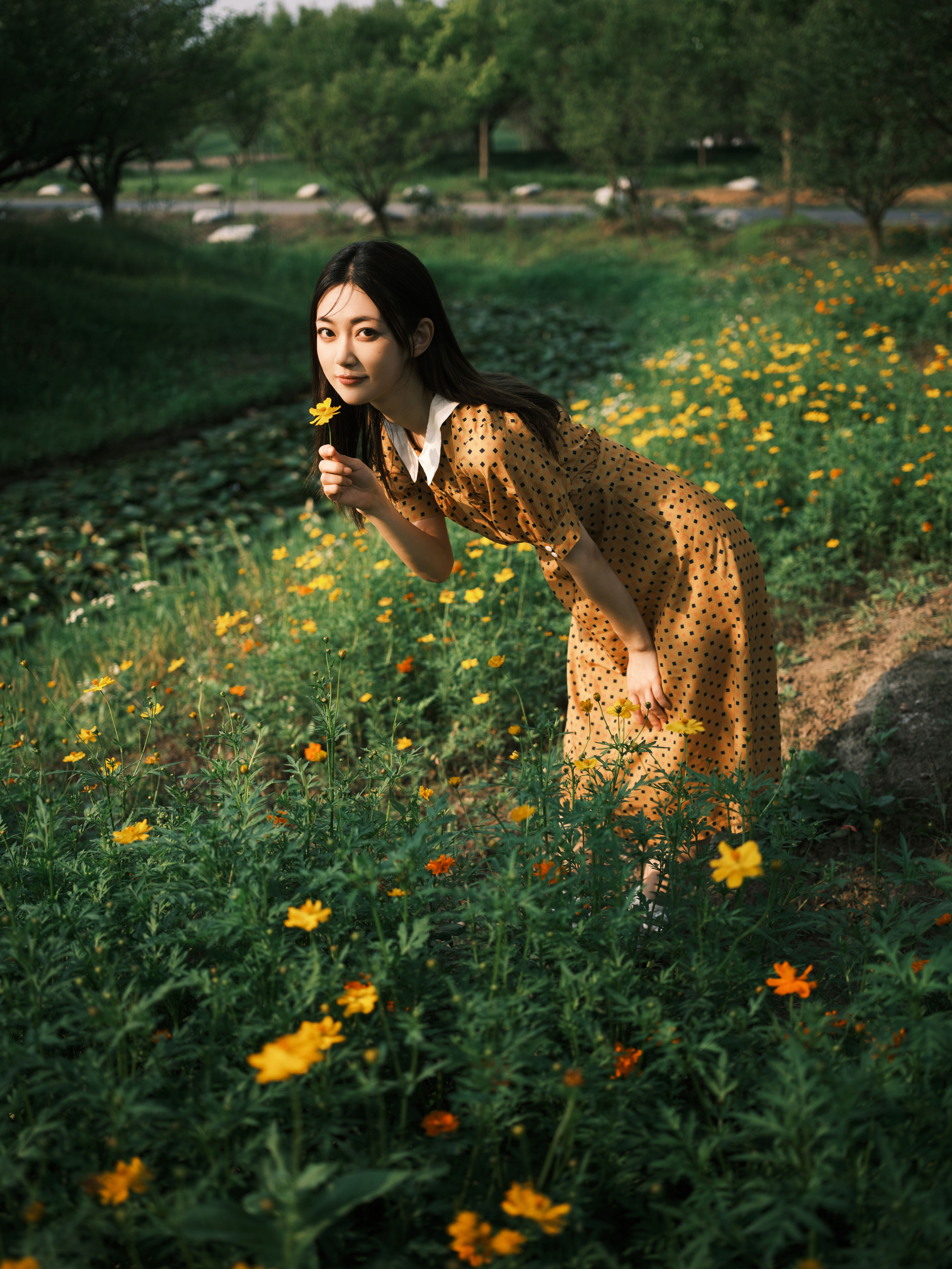 硫华菊&柳叶马鞭草-是夏天的味道呀！ 唯美 女神 精美 小清新 养眼 花 优美