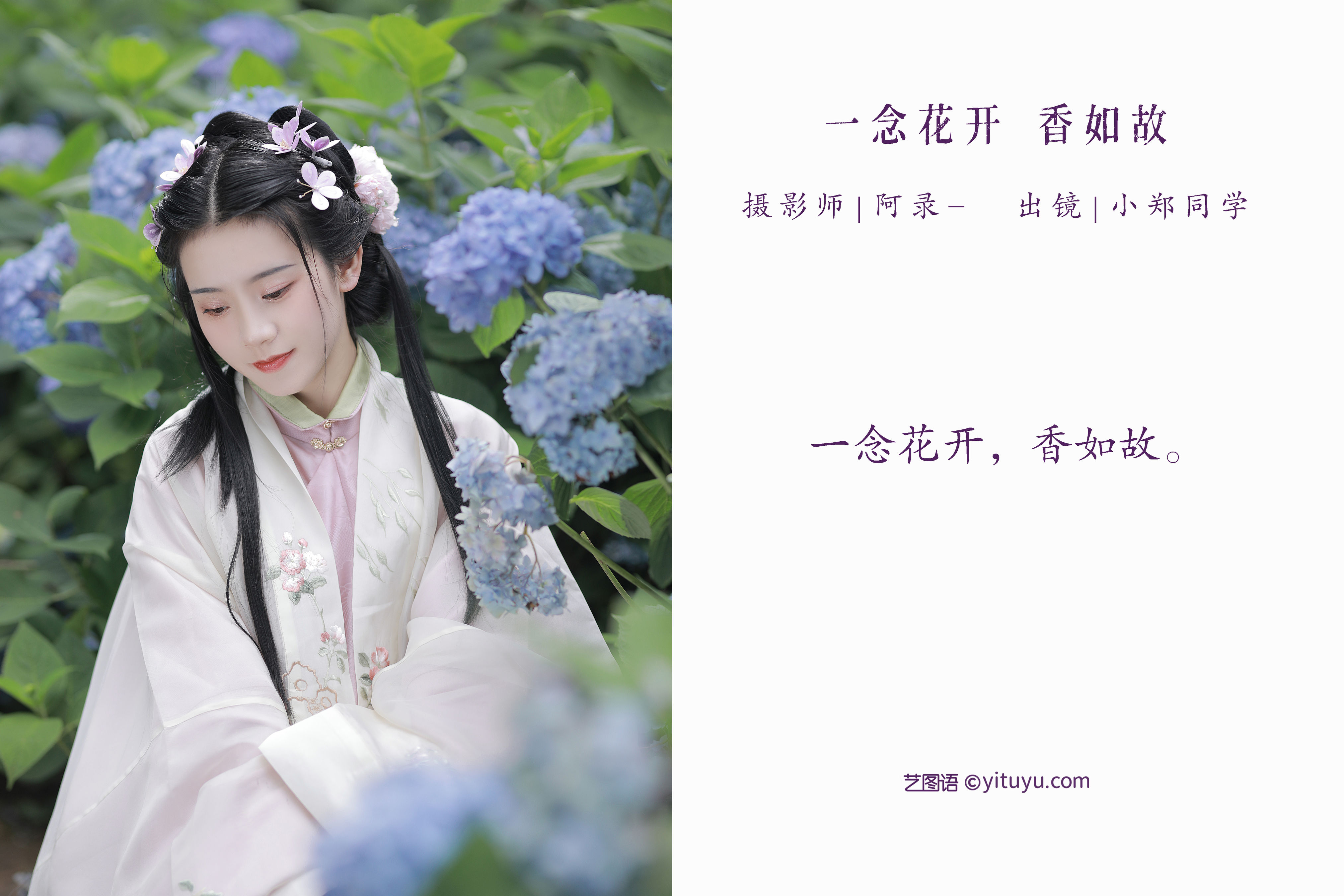 一念花开，香如故 古风 少女 小清新 花 养眼