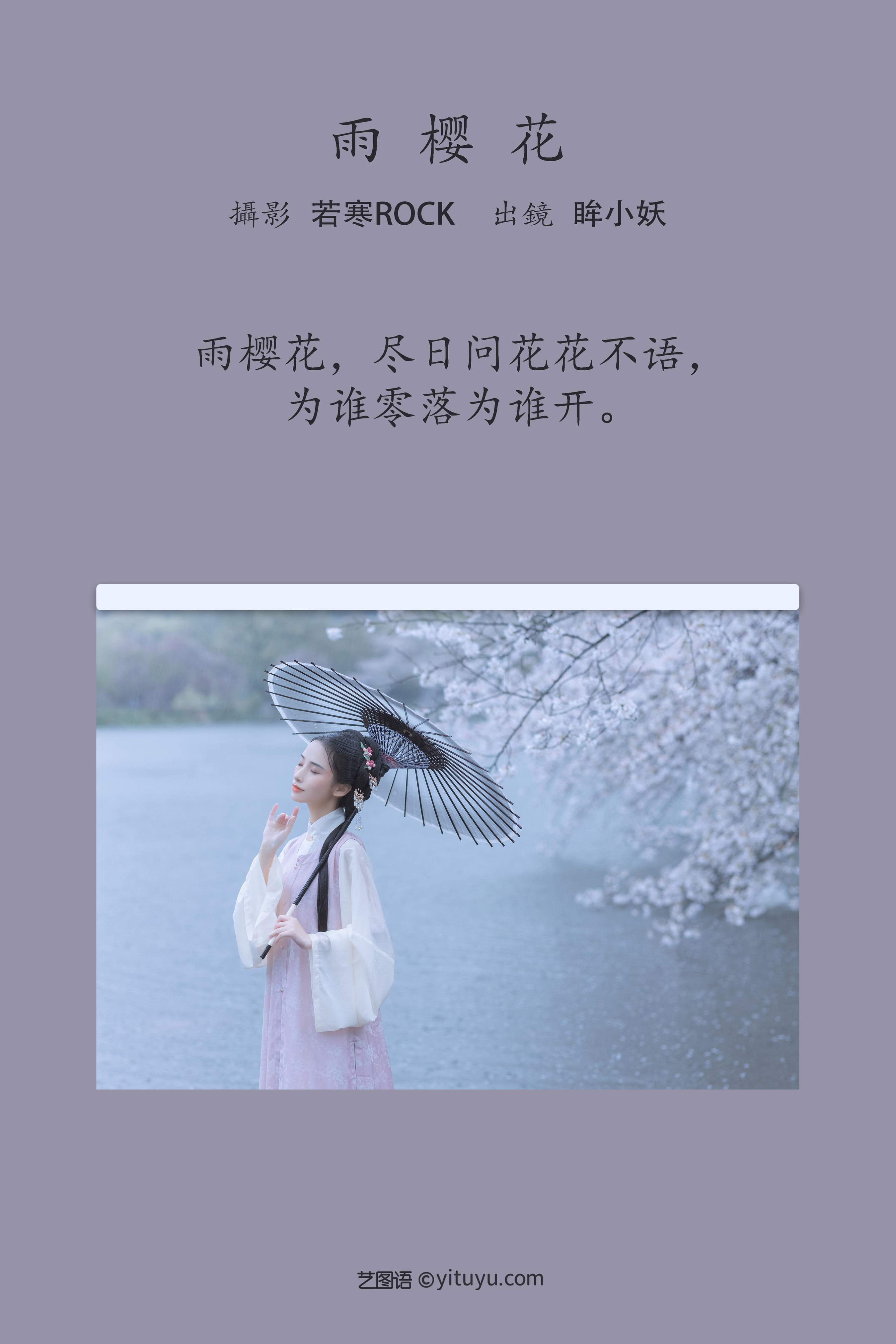 雨樱花 樱花 古风 唯美 下雨天 花