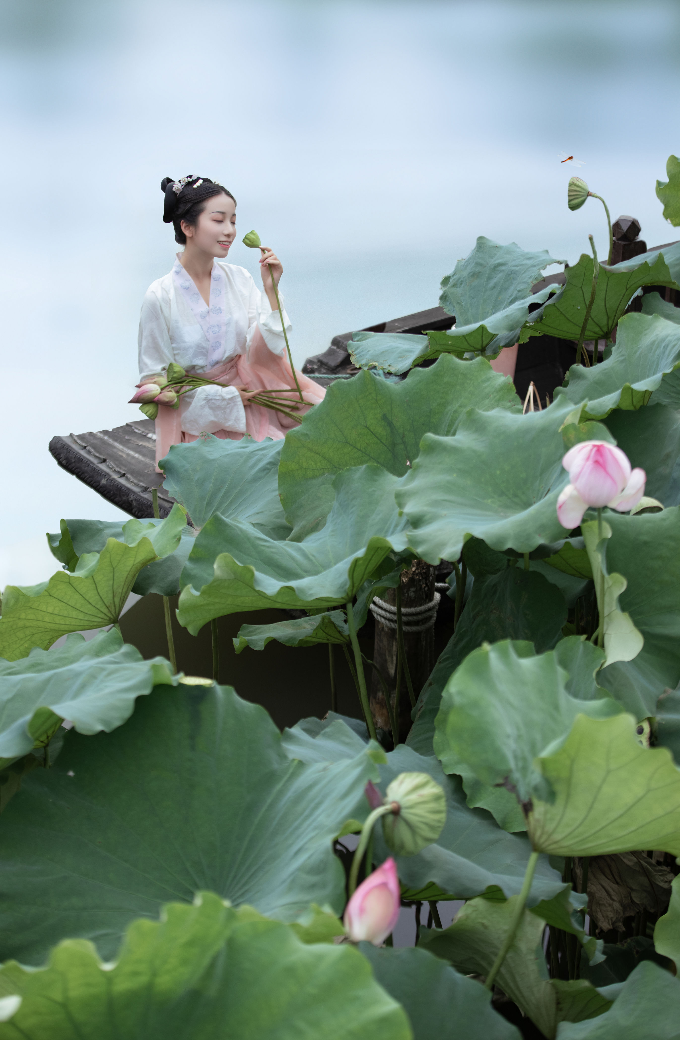 采荷 精美 荷花 古风 花 少女