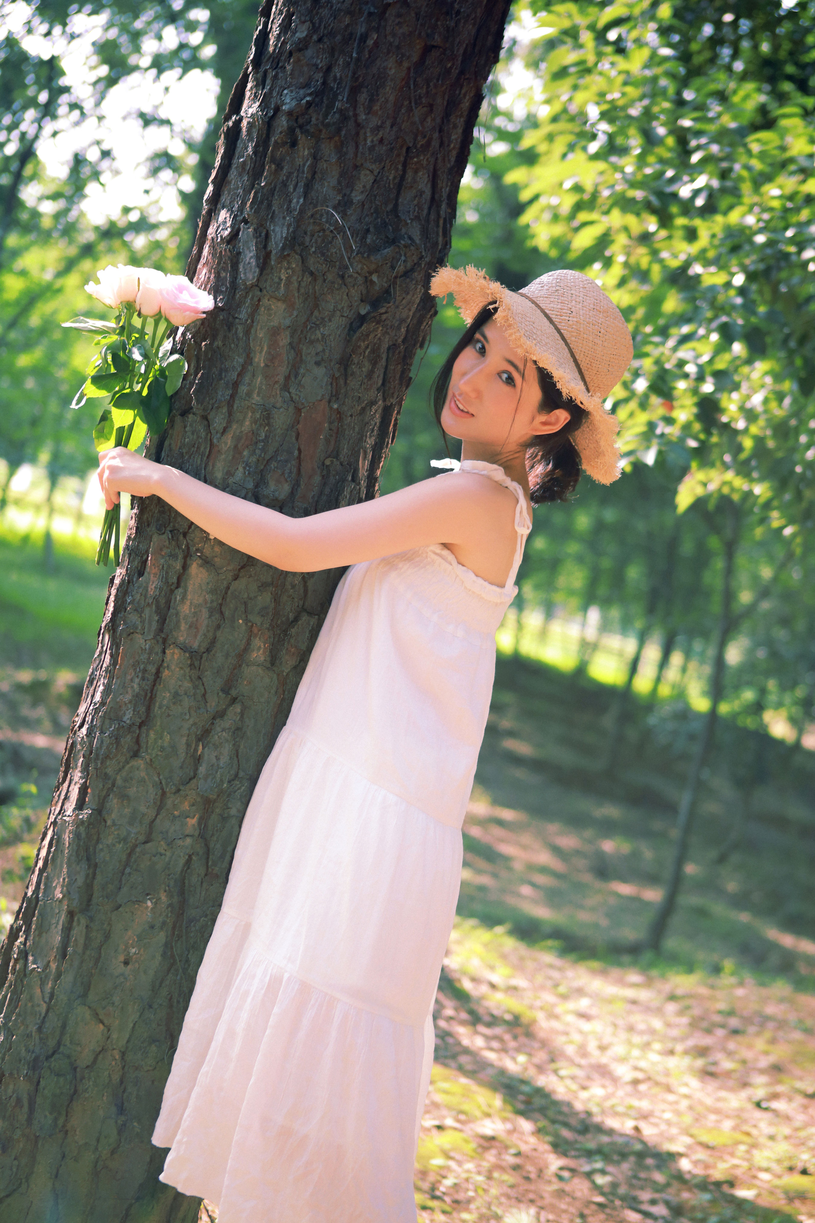 仲夏倾情 精美 养眼 树林 夏天 小清新