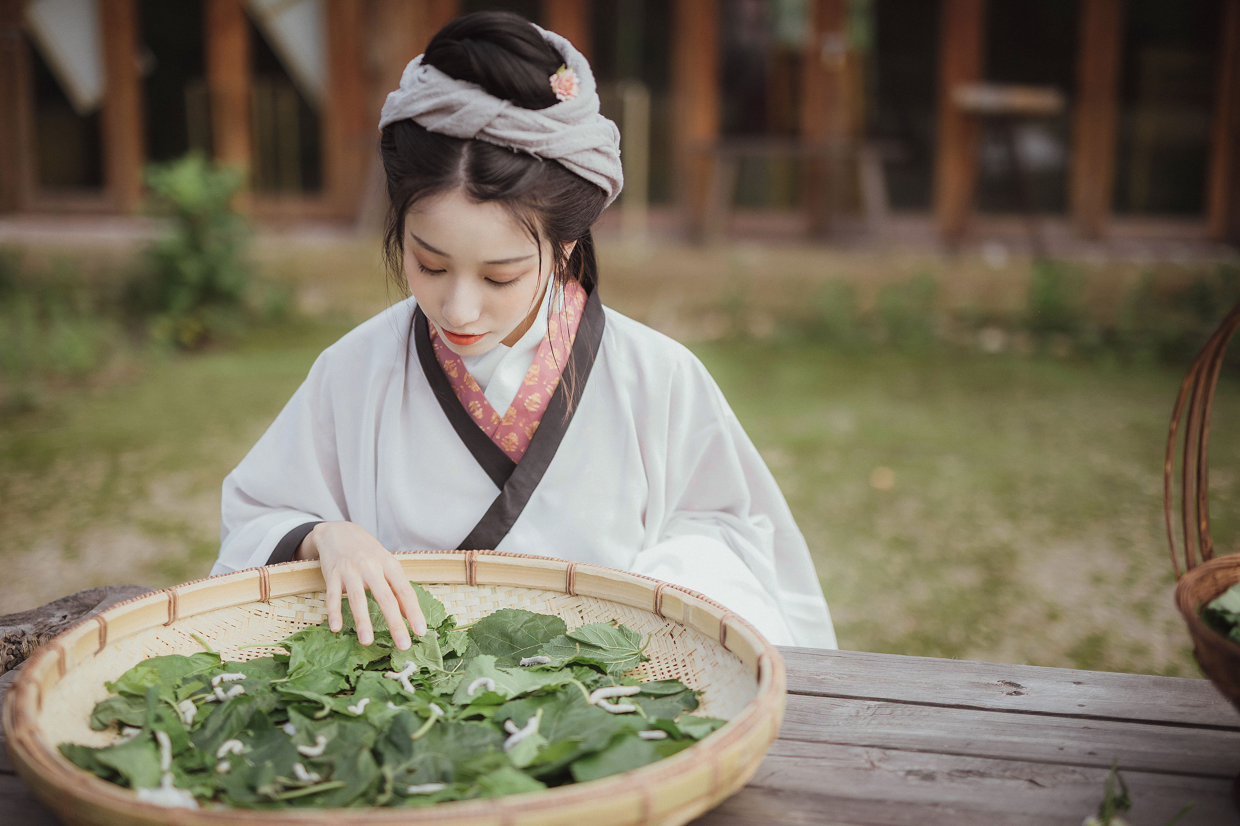 罗敷 田园生活 古风 艺术 美好 优美