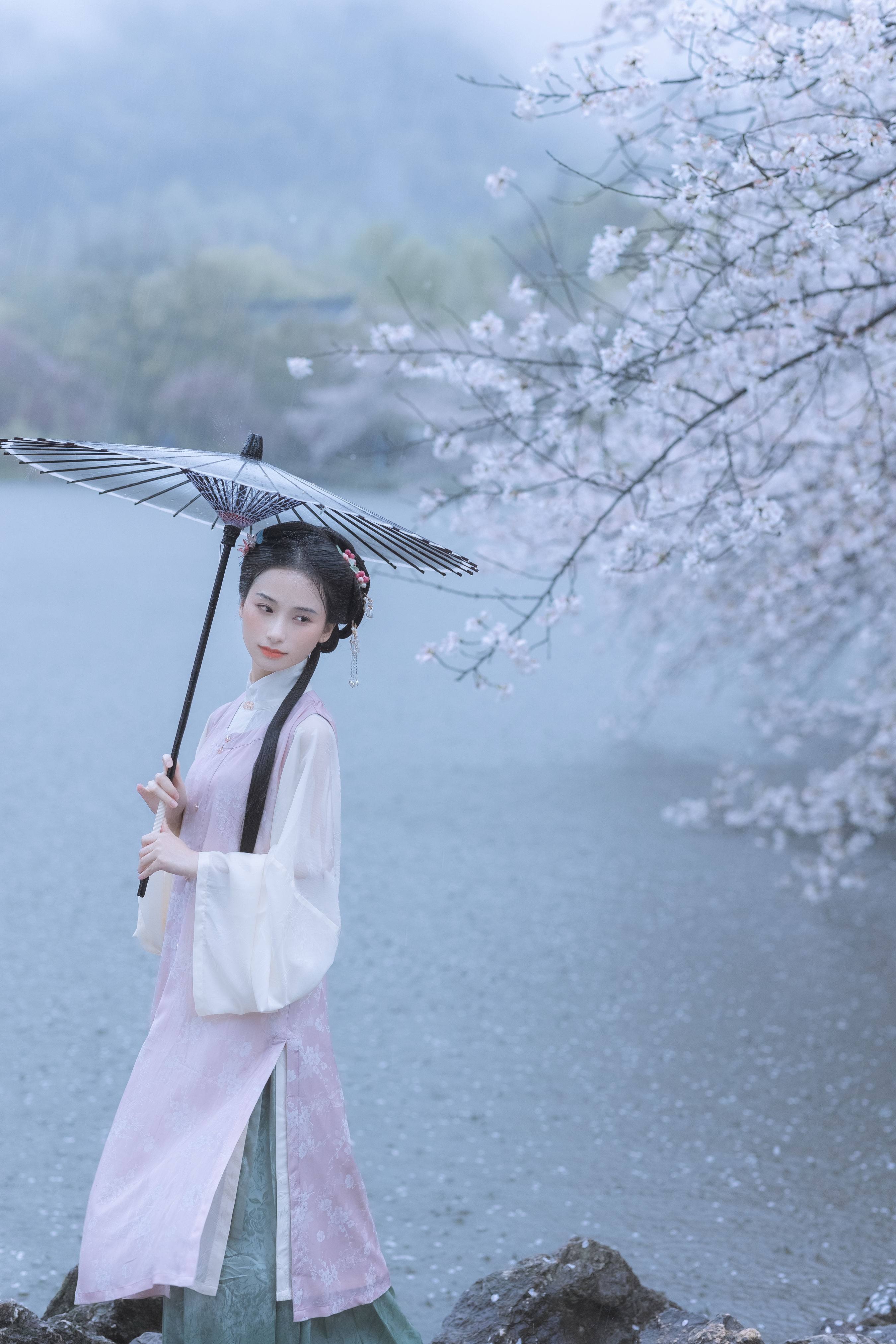 雨樱花 樱花 古风 唯美 下雨天 花