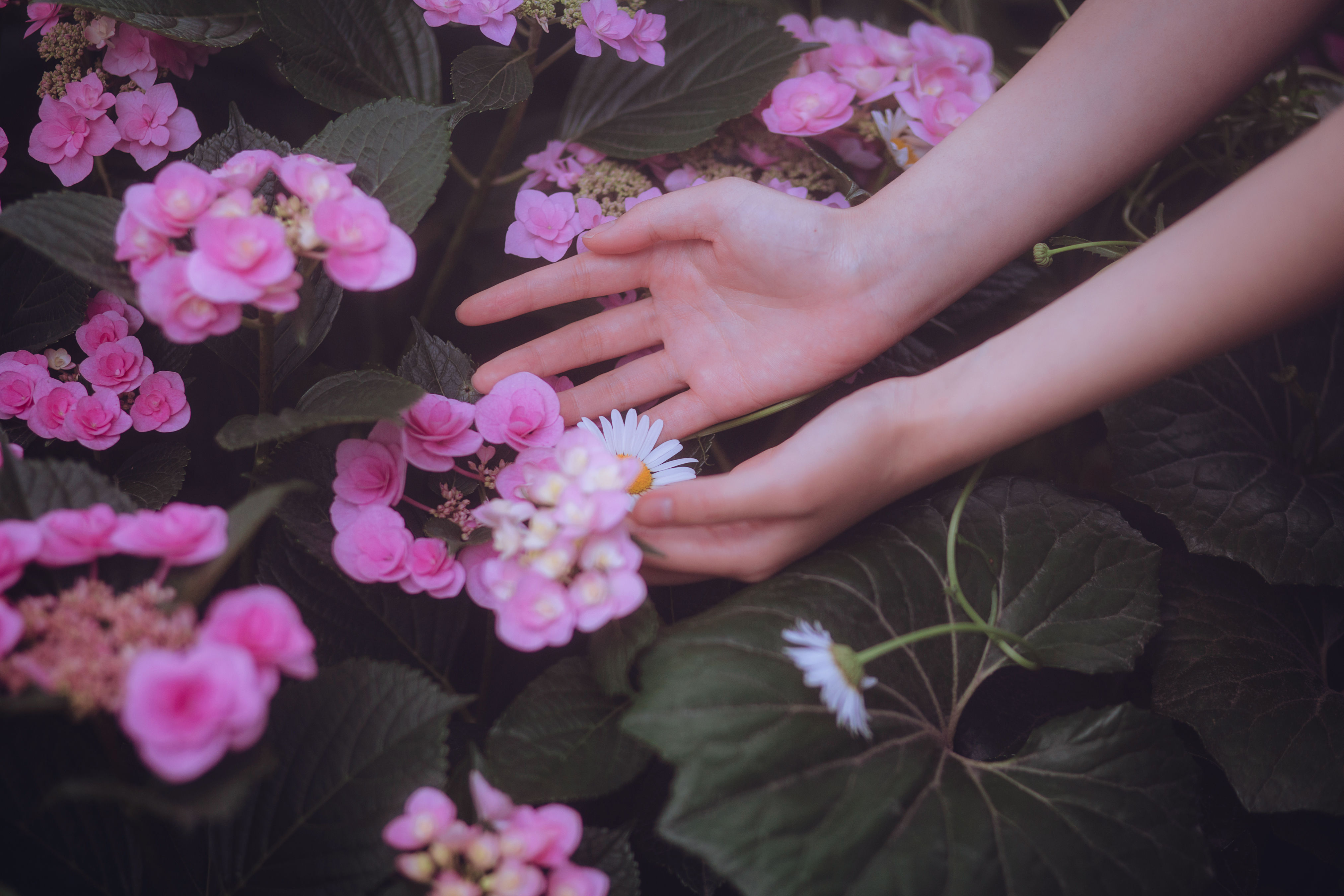 可期 少女 文艺 花 复古 写真集 唯美 小清新