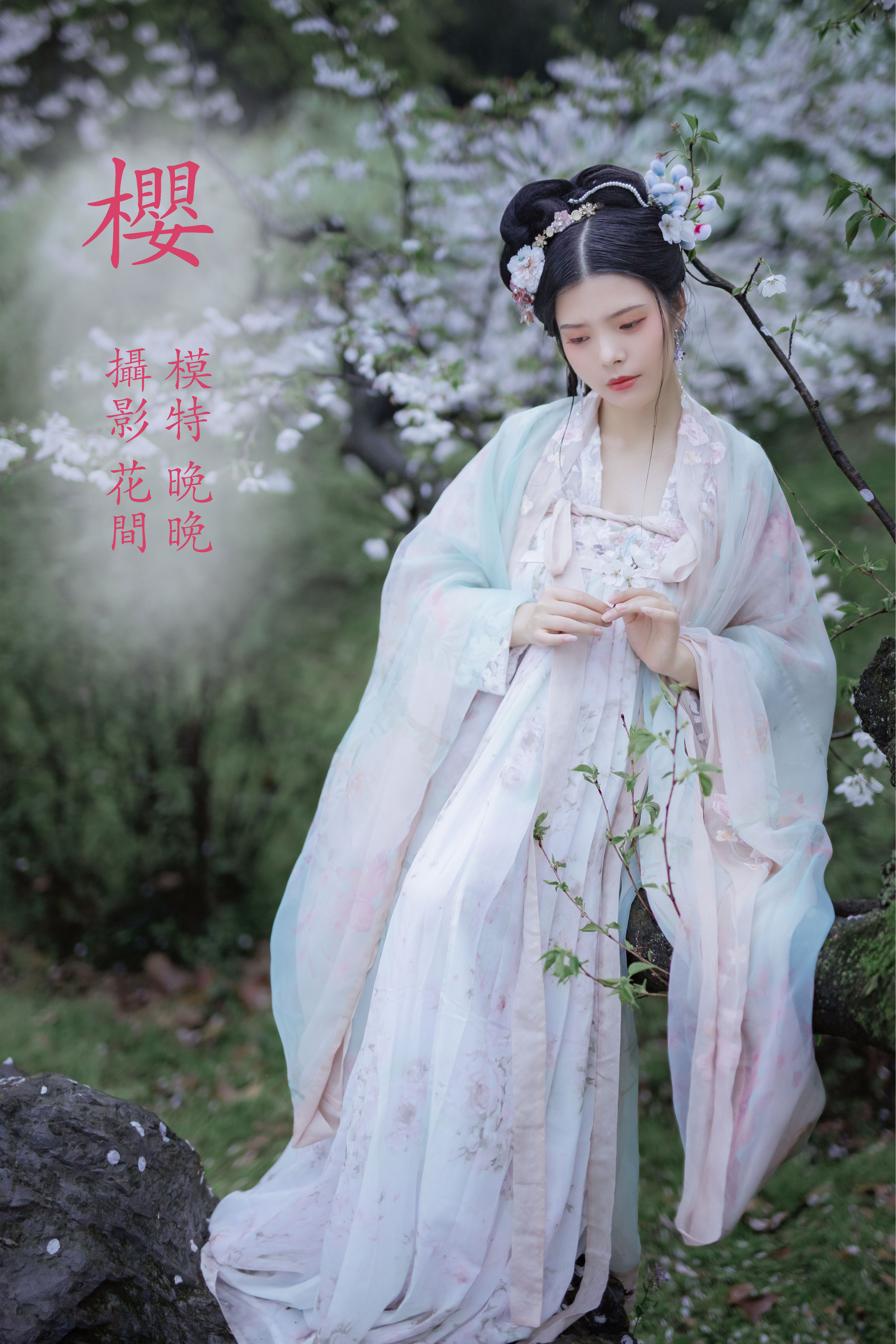 樱 唯美 清新唯美 意境 优雅 古风 花 樱花