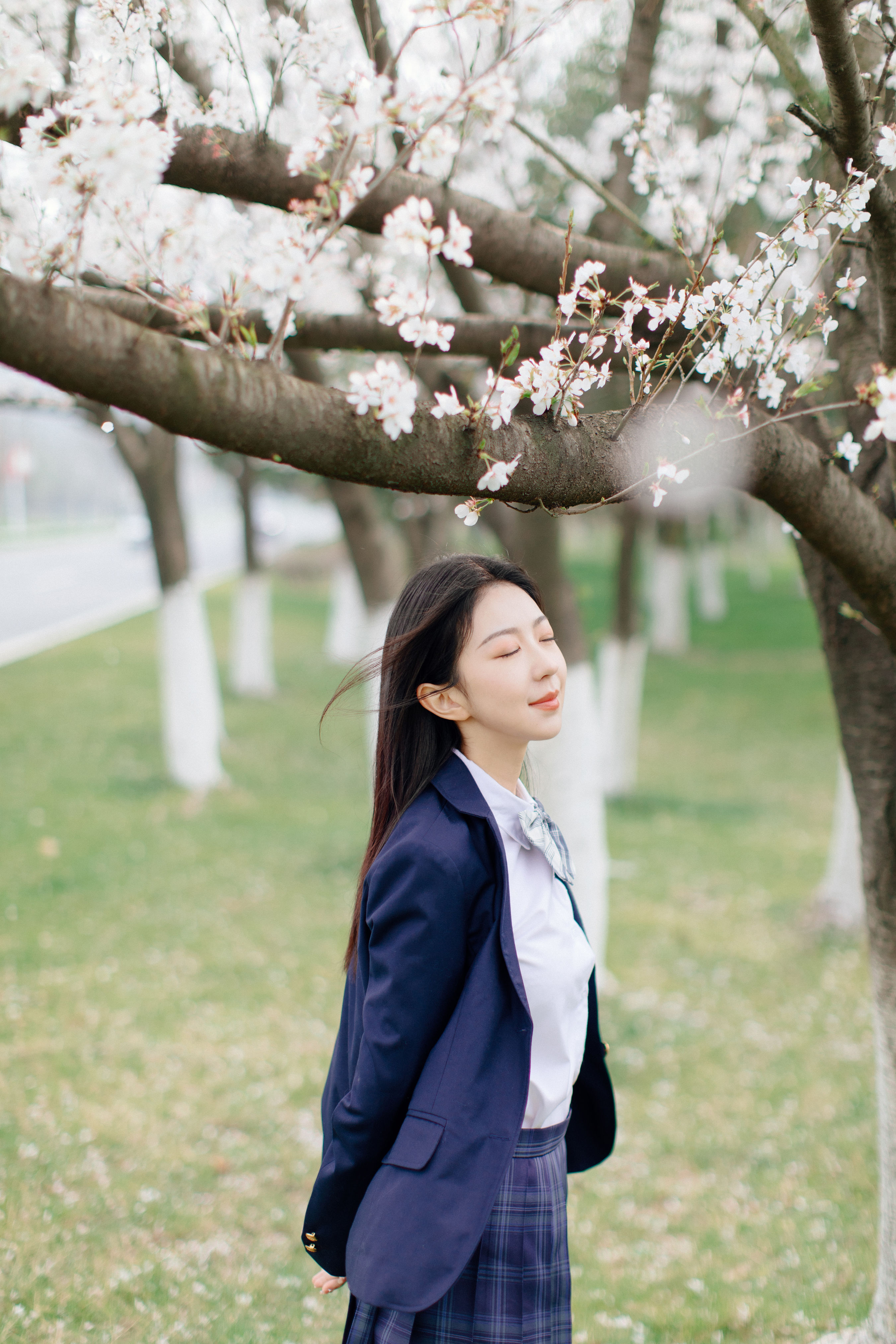 樱花时分 樱花 少女 校花 青春 花 唯美