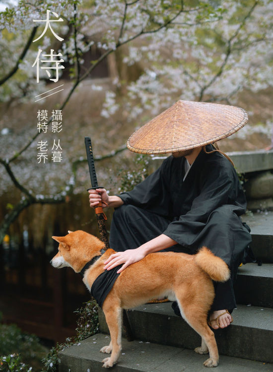 犬侍 意境 艺术 创意 古风 武侠 男生 山林