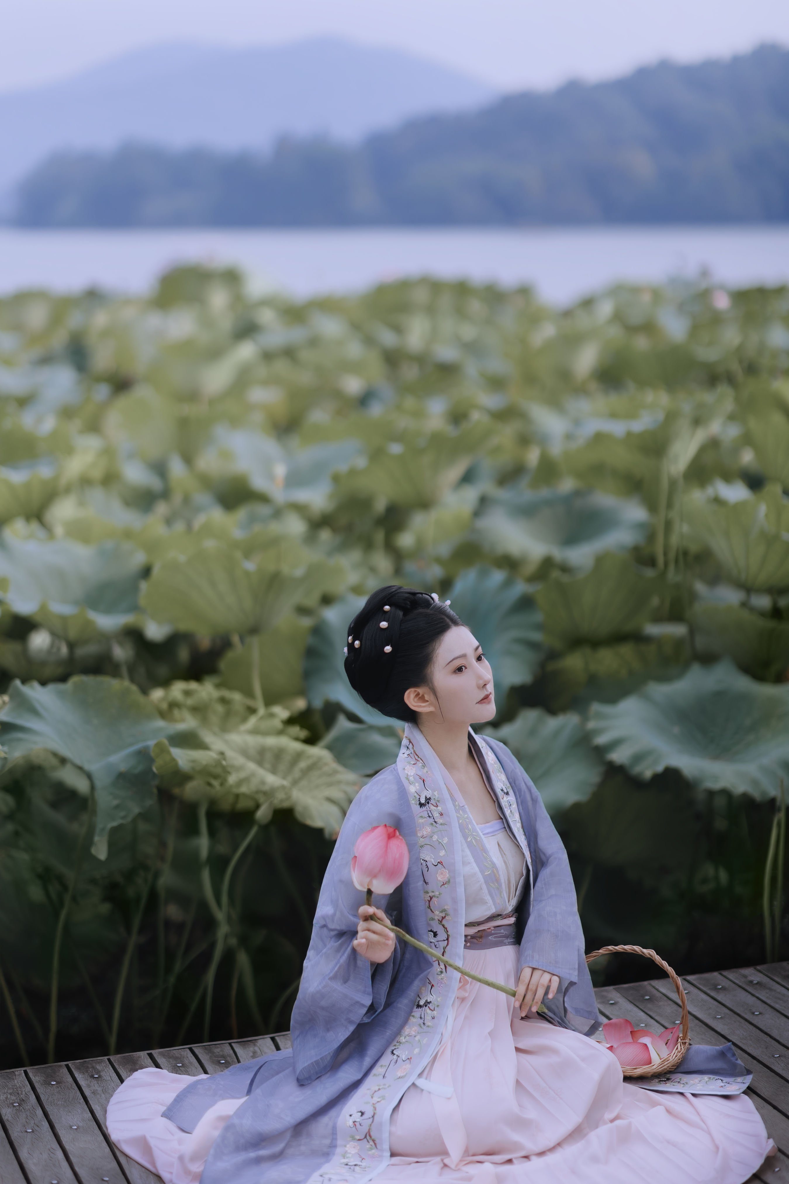 采莲女 优美 荷花 古风 清冷美人 漂亮 唯美 精美