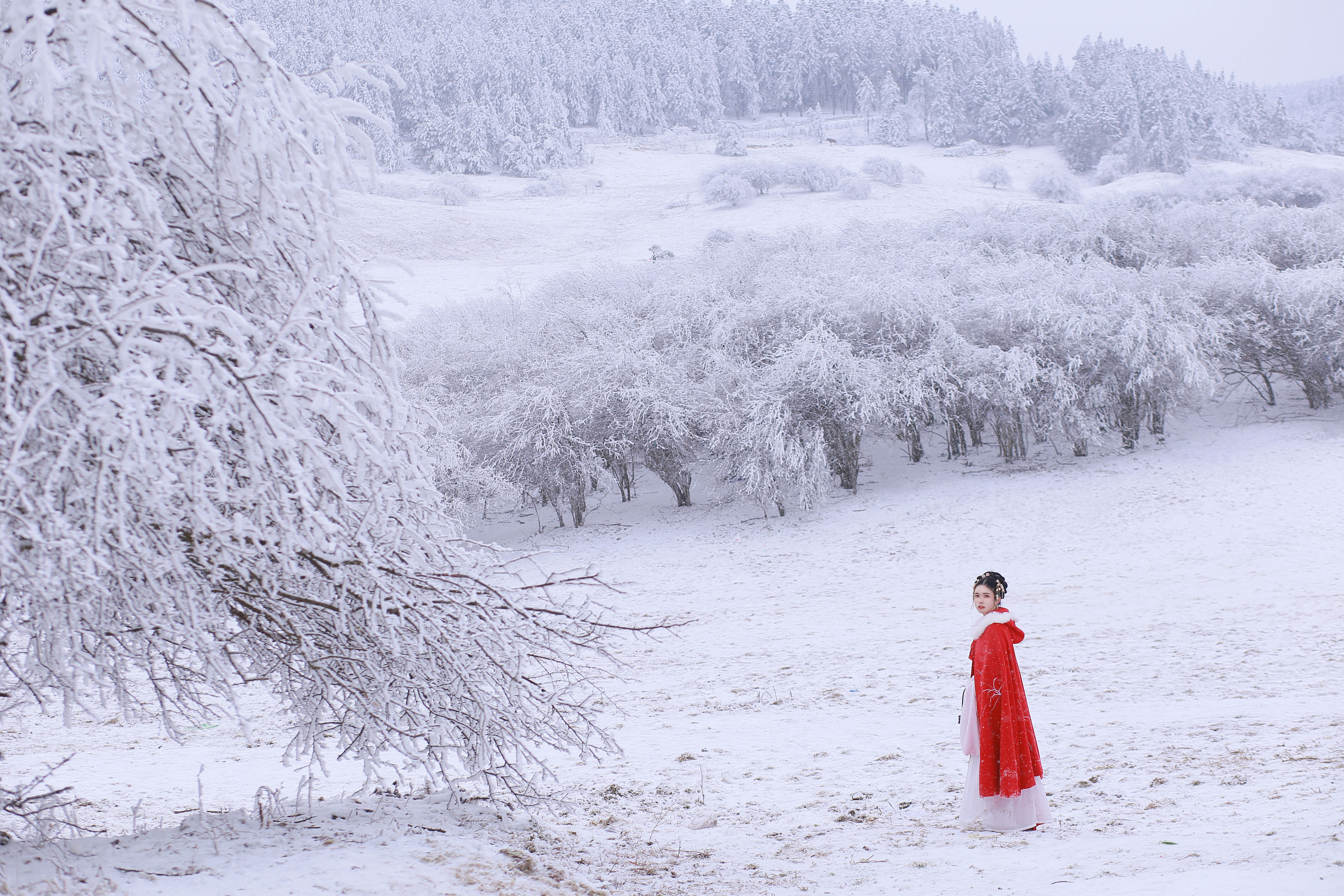 大雪 雪景 冬天 古风 少女