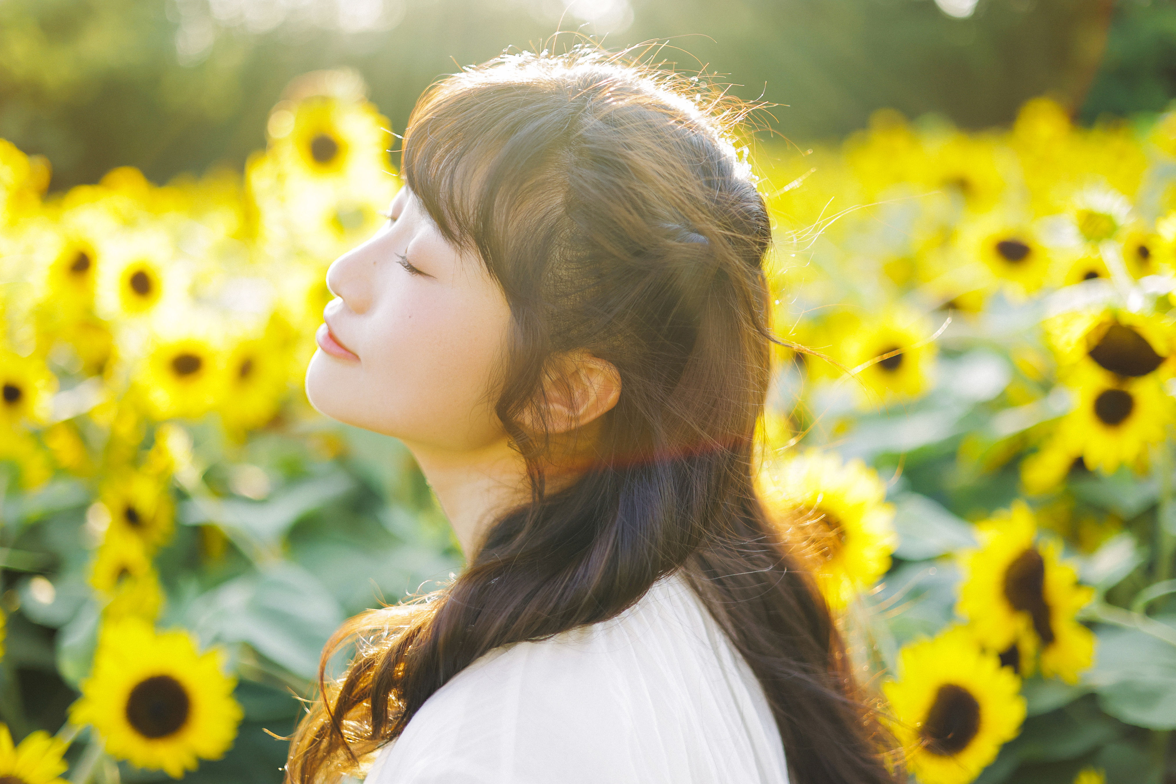 阳光下的花和你 日系 少女 向日葵 花 写真集